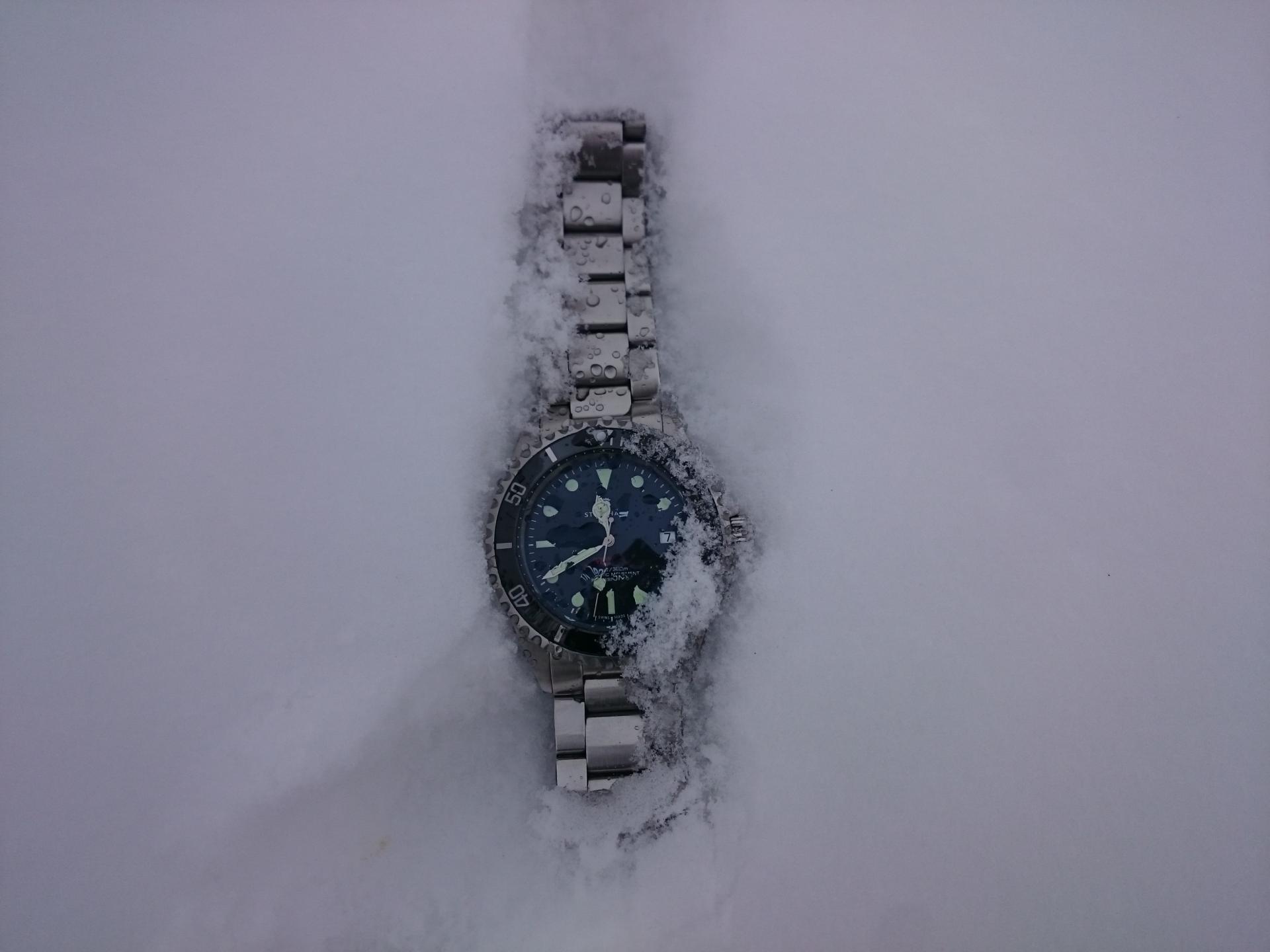 Naziv: DSC_1302.jpg, pregleda: 231, veličina: 120,9 KB