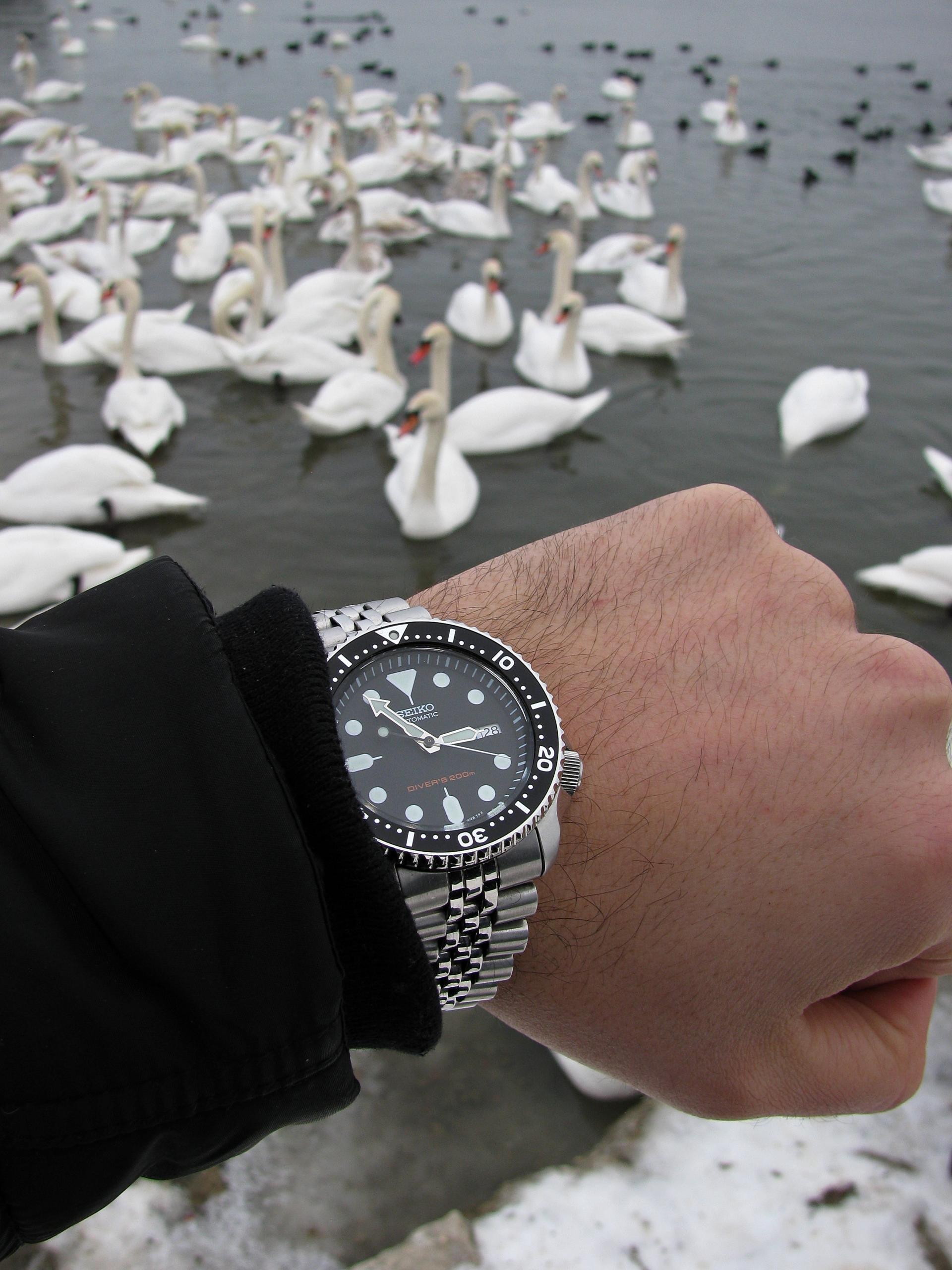 Naziv: IMG_5104 ....jpg, pregleda: 190, veličina: 402,5 KB