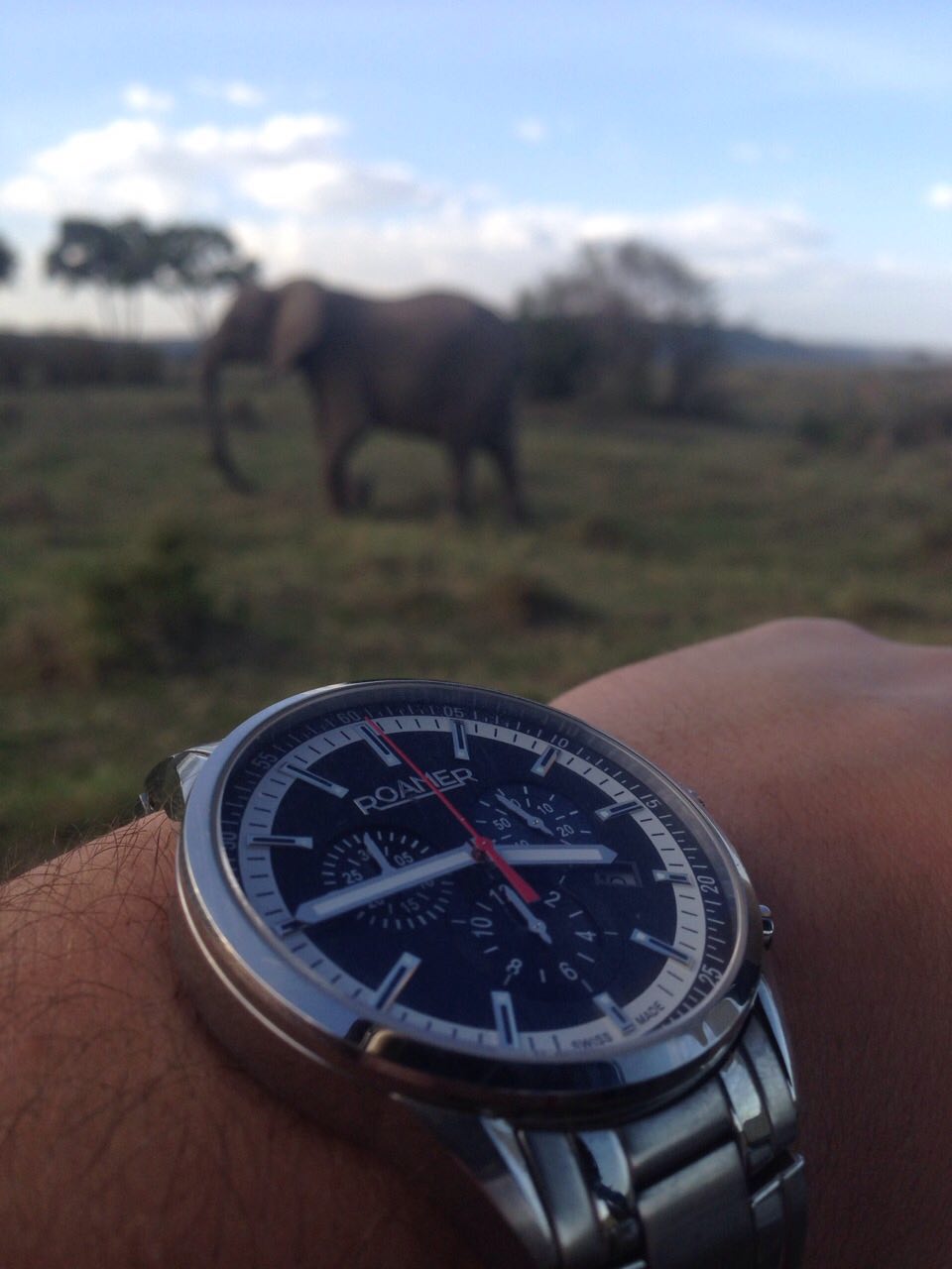 Naziv: image-0-02-06-322d0e54e3a6ce6f31fe7fd23bfde229563d50c09f505bbaff1b7454503baf76-V.jpg, pregleda: 169, veličina: 95,0 KB