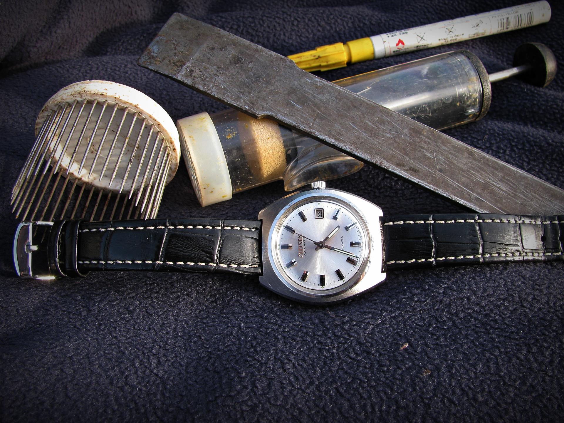 Naziv: IMG_5355 ....jpg, pregleda: 243, veličina: 484,8 KB