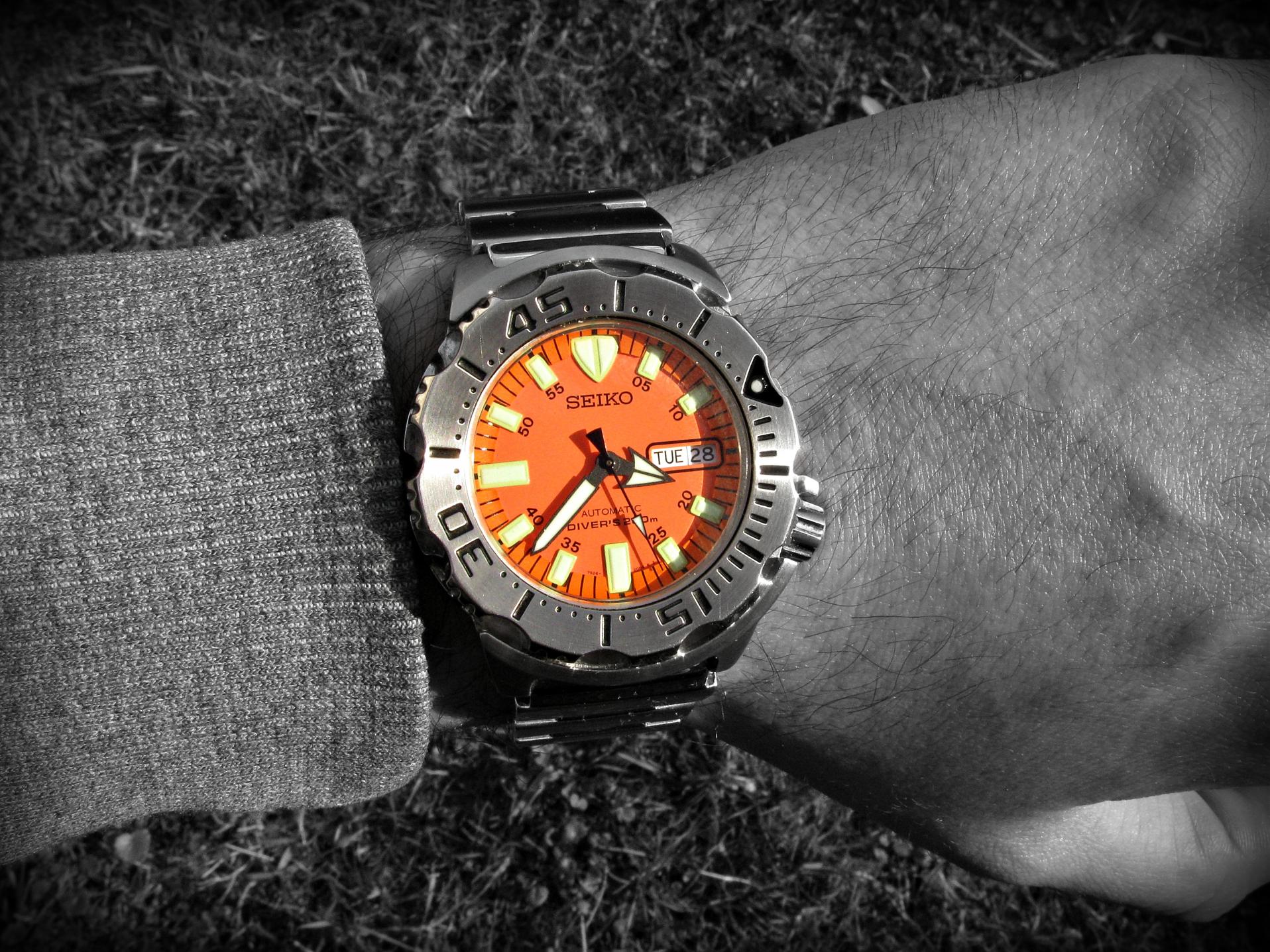 Naziv: IMG_5384 ....jpg, pregleda: 190, veličina: 488,9 KB