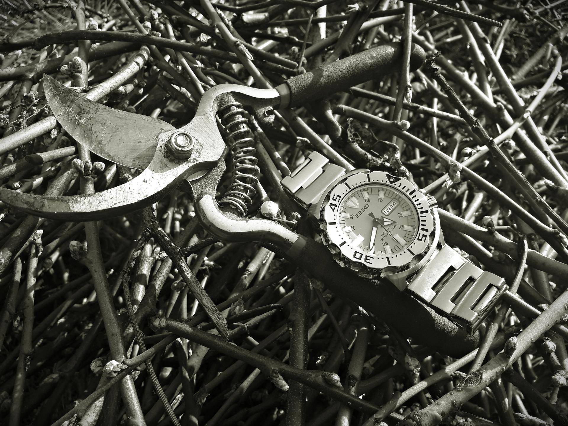 Naziv: 20170314_155741 ....jpg, pregleda: 172, veličina: 455,2 KB