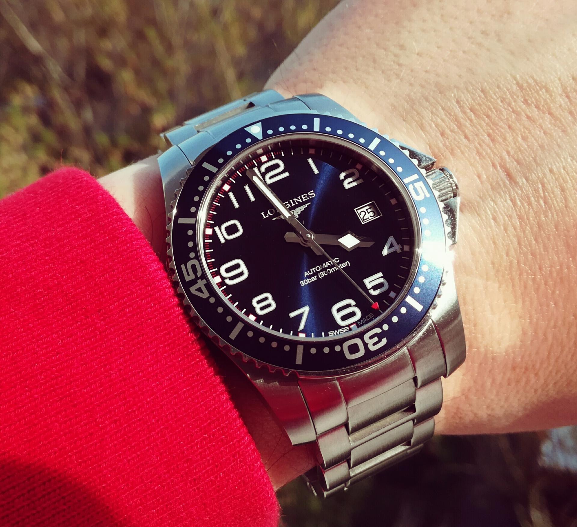 Naziv: IMG_20170325_160150.jpg, pregleda: 174, veličina: 364,8 KB