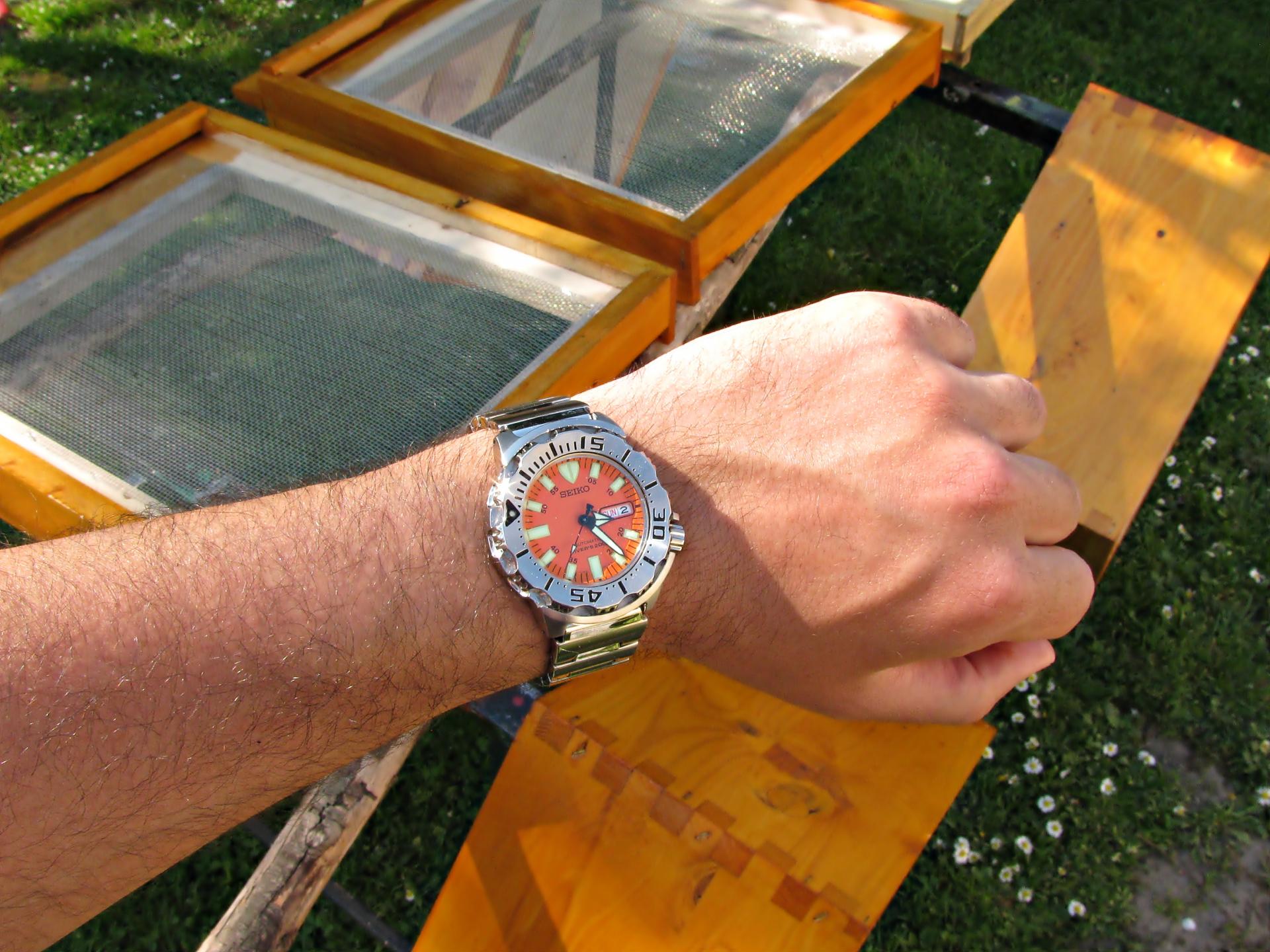 Naziv: IMG_5523 ....jpg, pregleda: 148, veličina: 313,5 KB