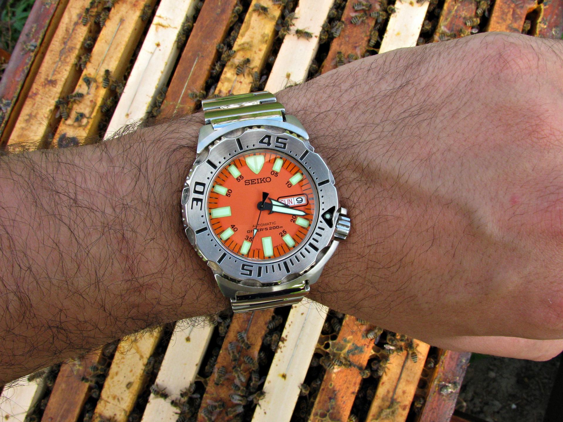 Naziv: IMG_5536 ....jpg, pregleda: 188, veličina: 397,5 KB