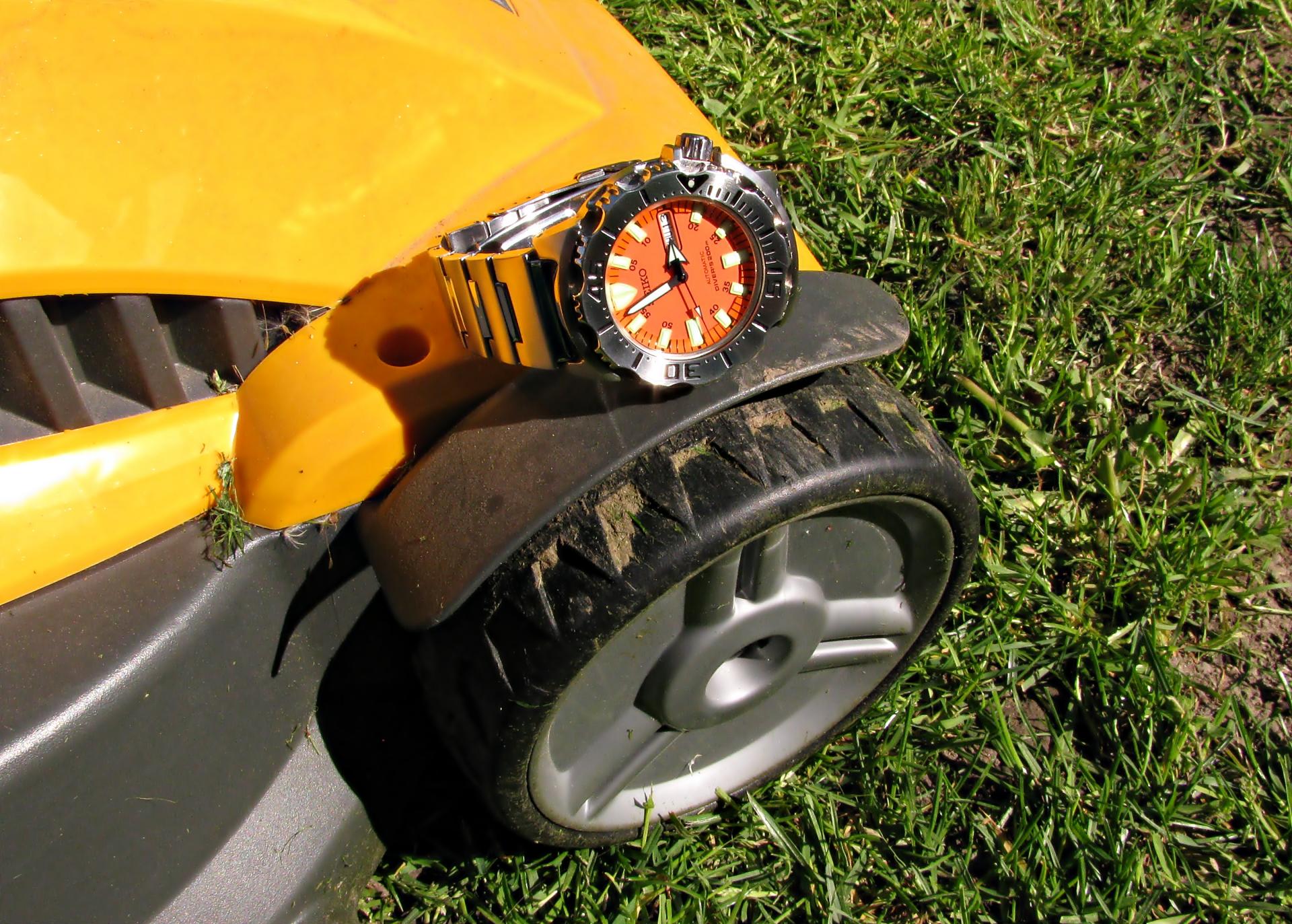 Naziv: IMG_5566 ....jpg, pregleda: 144, veličina: 440,7 KB