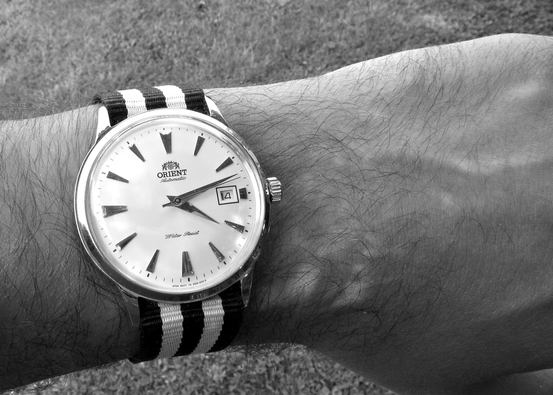 Naziv: IMG_5610 ....jpg, pregleda: 167, veličina: 315,5 KB