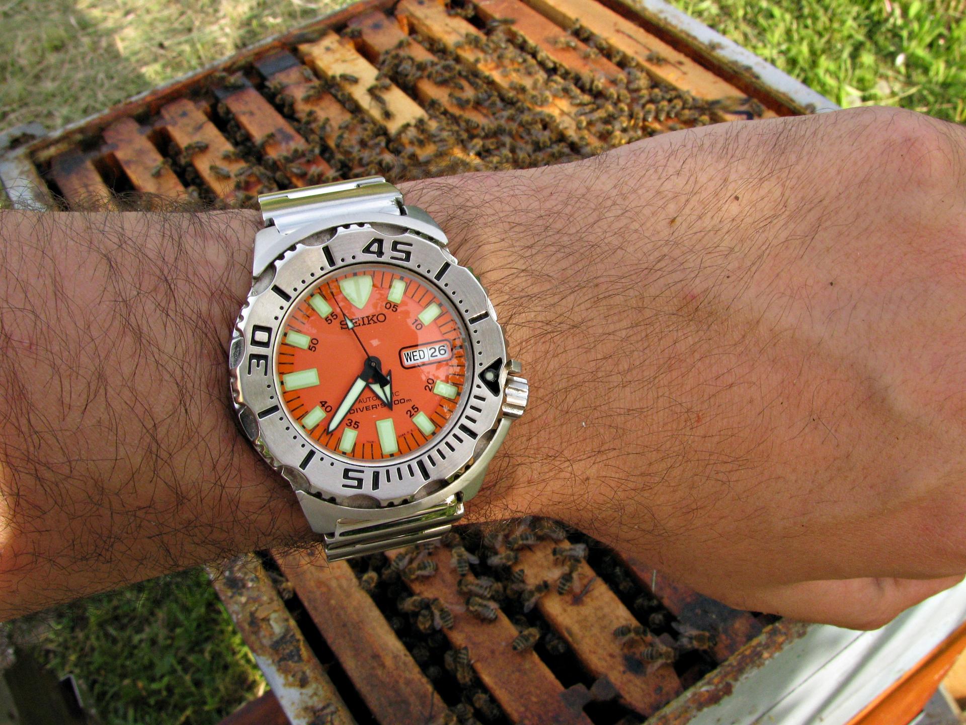 Naziv: IMG_5636 ...,.jpg, pregleda: 208, veličina: 400,7 KB