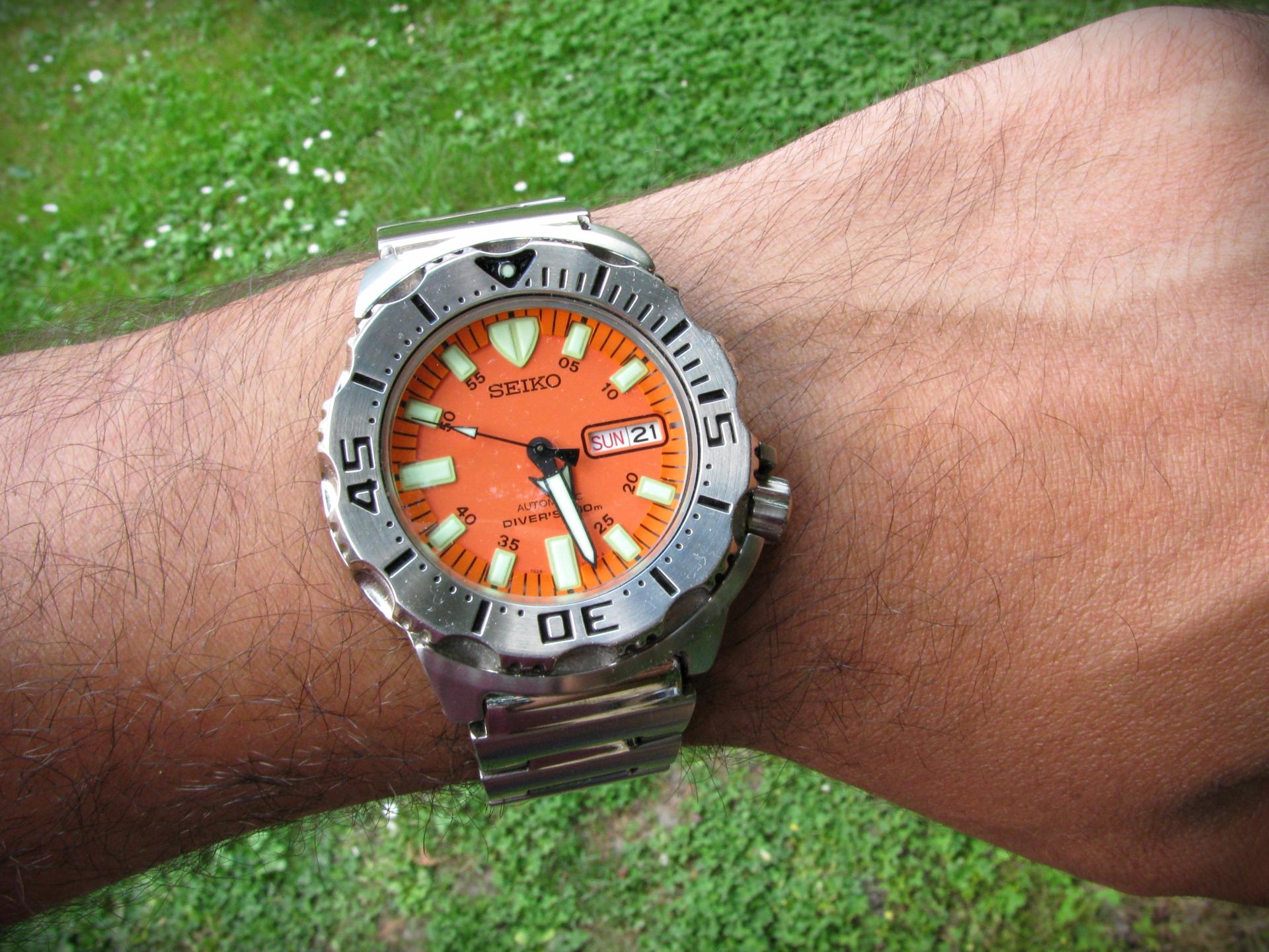 Naziv: IMG_5766 ...,.jpg, pregleda: 223, veličina: 367,7 KB