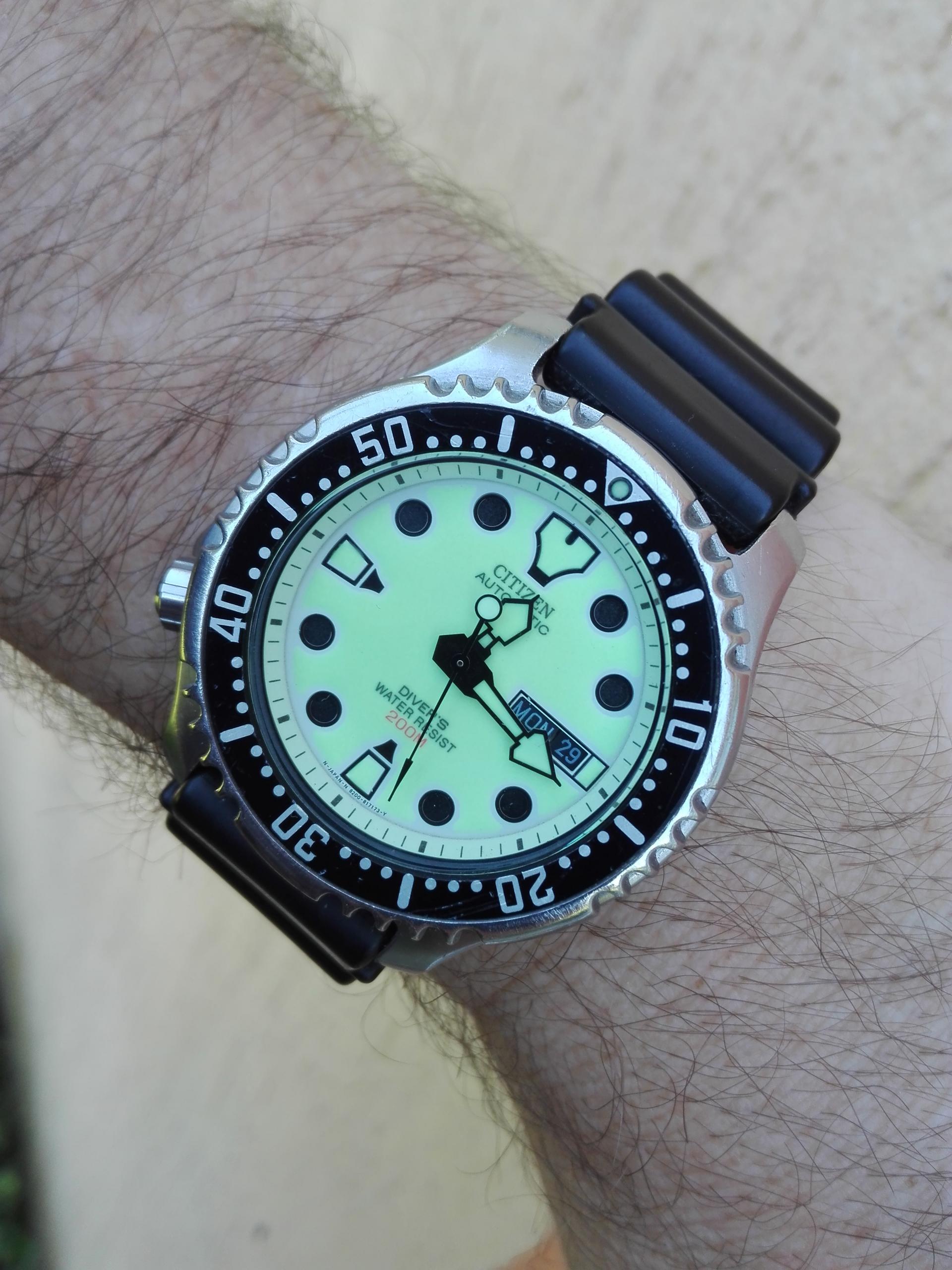 Naziv: IMG_20170529_121619.jpg, pregleda: 208, veličina: 400,2 KB