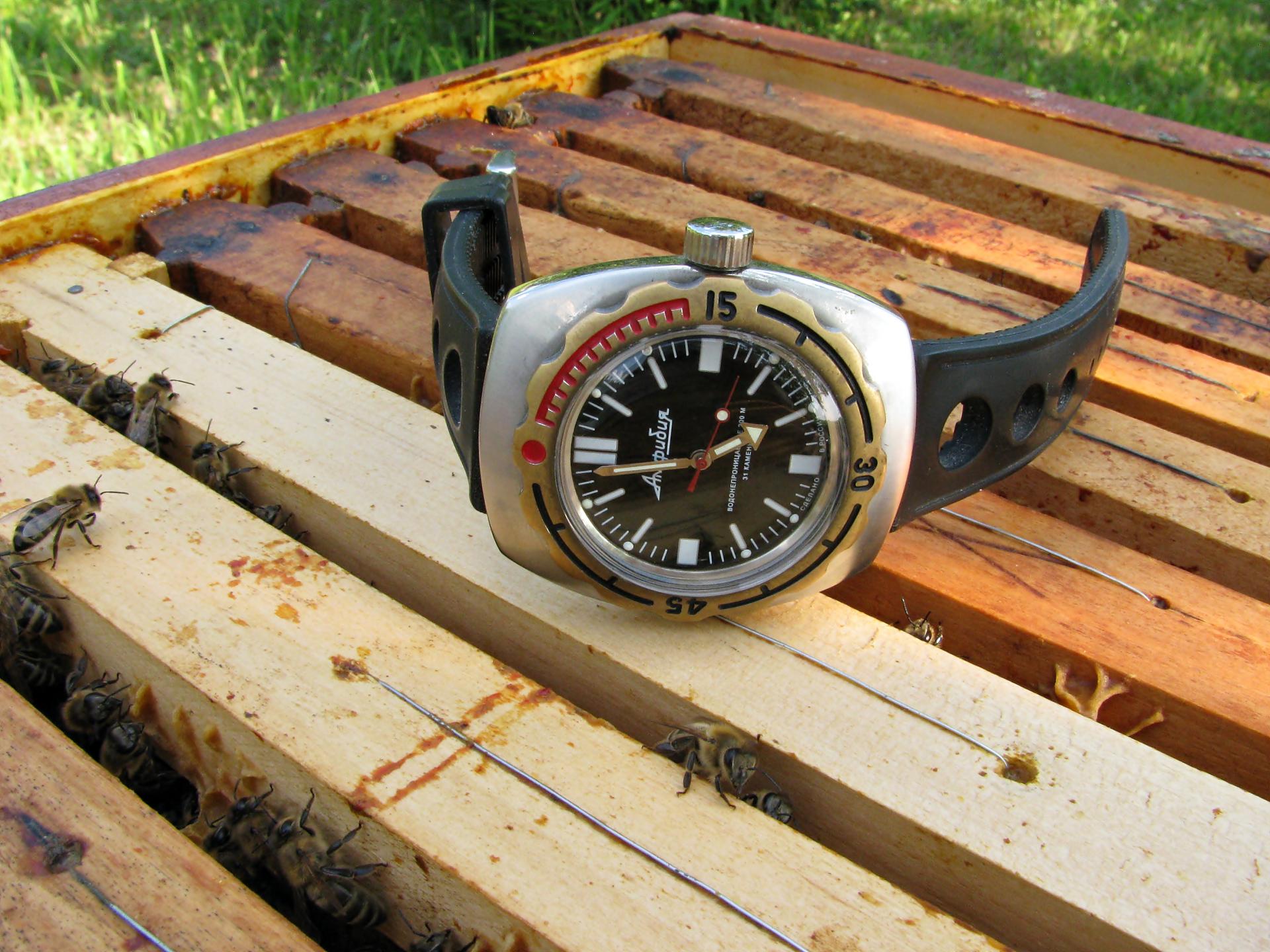 Naziv: IMG_5868 ...,.jpg, pregleda: 196, veličina: 343,3 KB