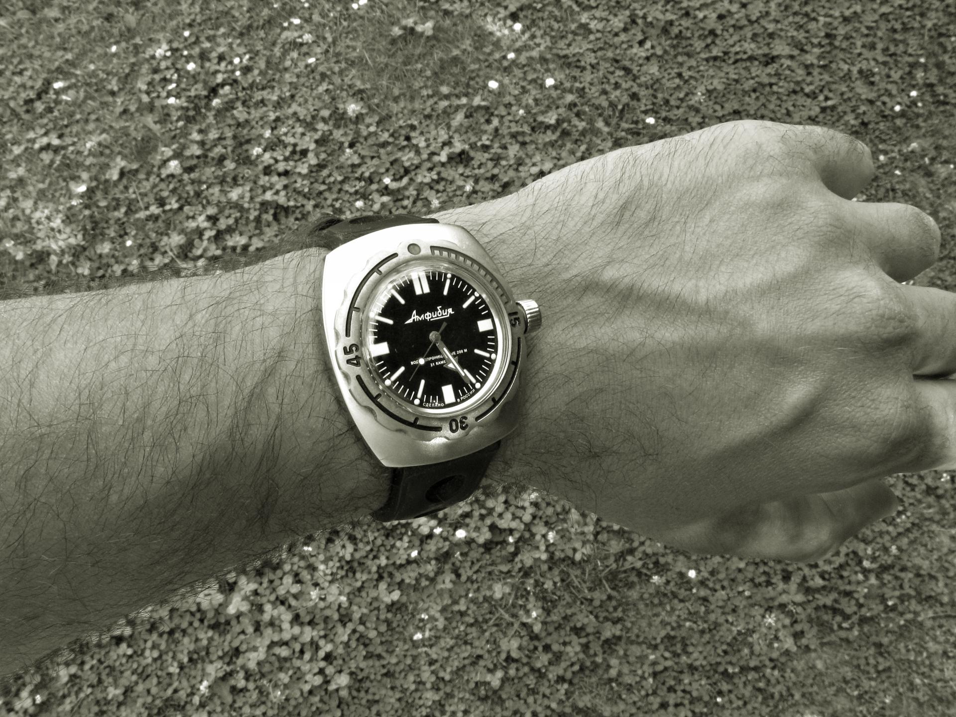 Naziv: IMG_5950 ....jpg, pregleda: 214, veličina: 418,4 KB