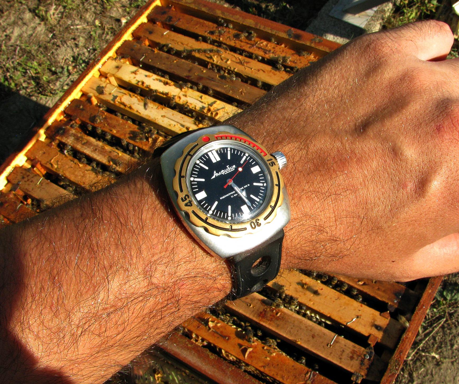 Naziv: IMG_6233 ....jpg, pregleda: 184, veličina: 501,3 KB