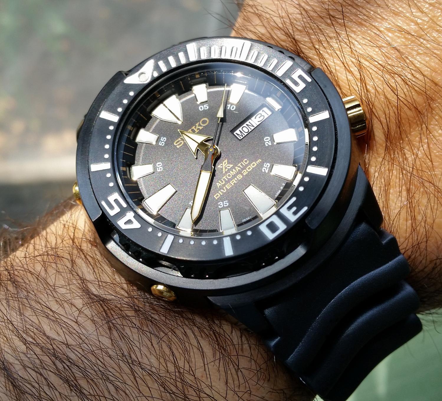 Naziv: 20170731_113843.jpg, pregleda: 165, veličina: 308,2 KB