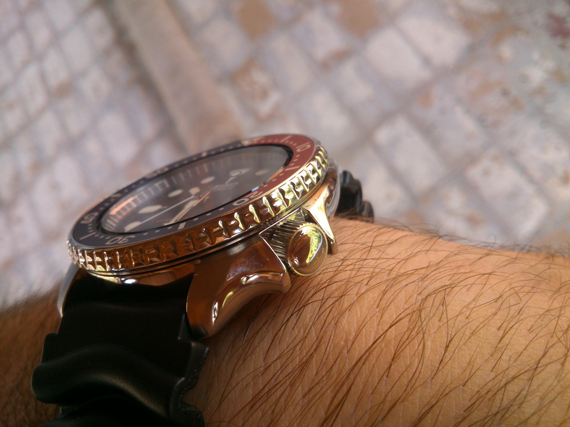 Naziv: DSC_0120.jpg, pregleda: 158, veličina: 224,9 KB