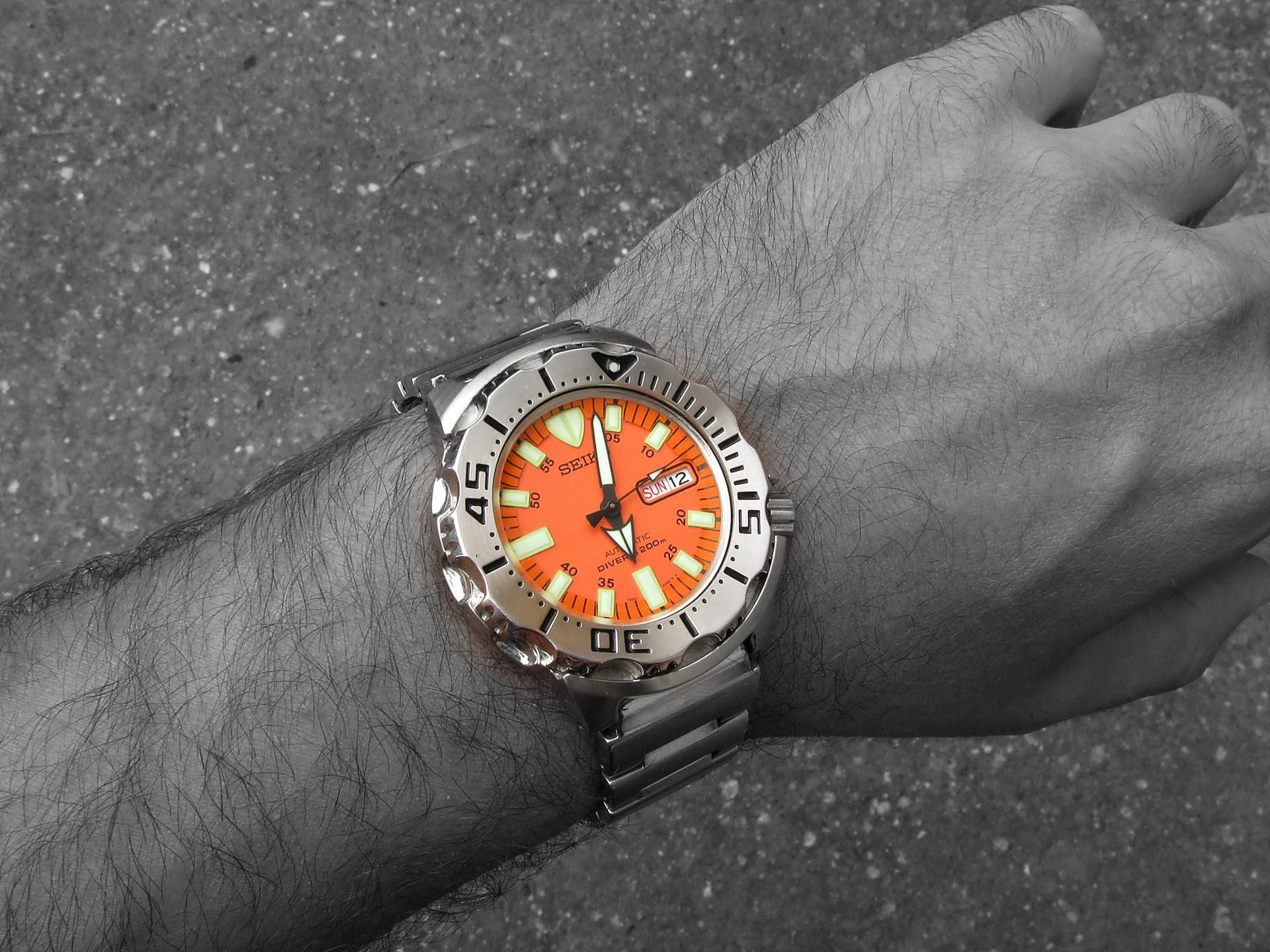 Naziv: IMG_6253 ....jpg, pregleda: 189, veličina: 374,3 KB