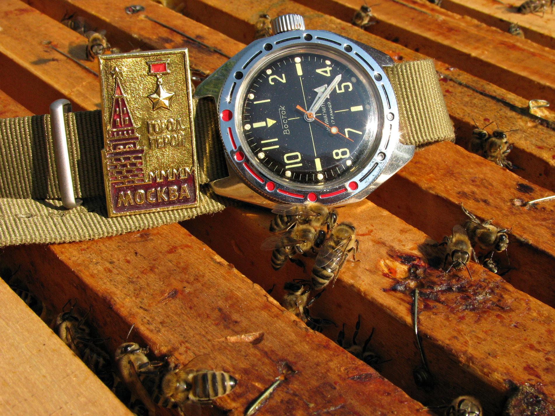 Naziv: IMG_6267 ....jpg, pregleda: 138, veličina: 490,3 KB