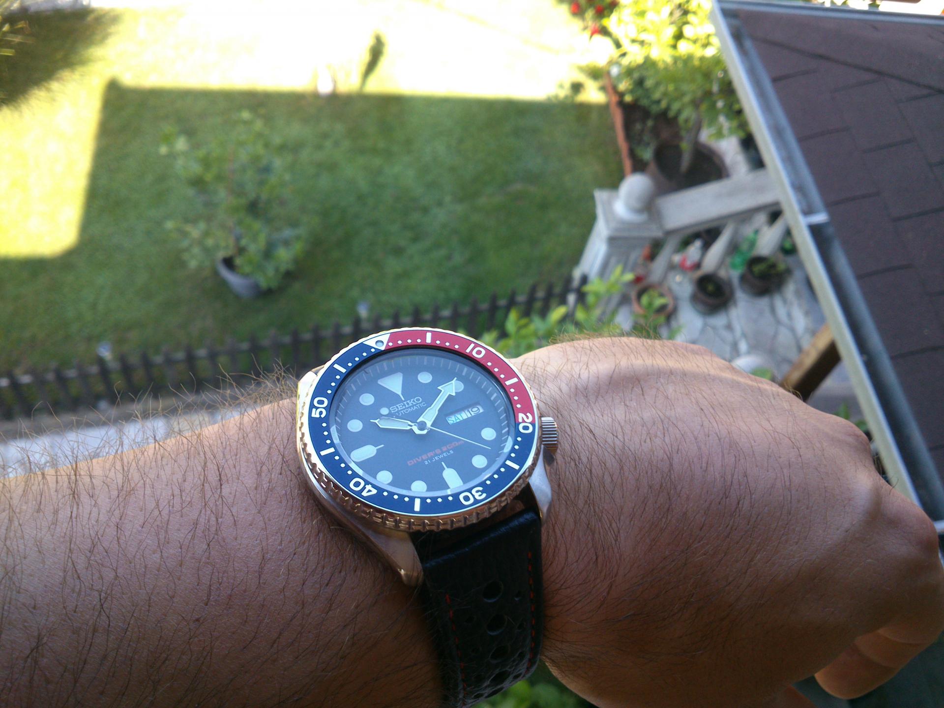 Naziv: DSC_2052.jpg, pregleda: 150, veličina: 265,6 KB