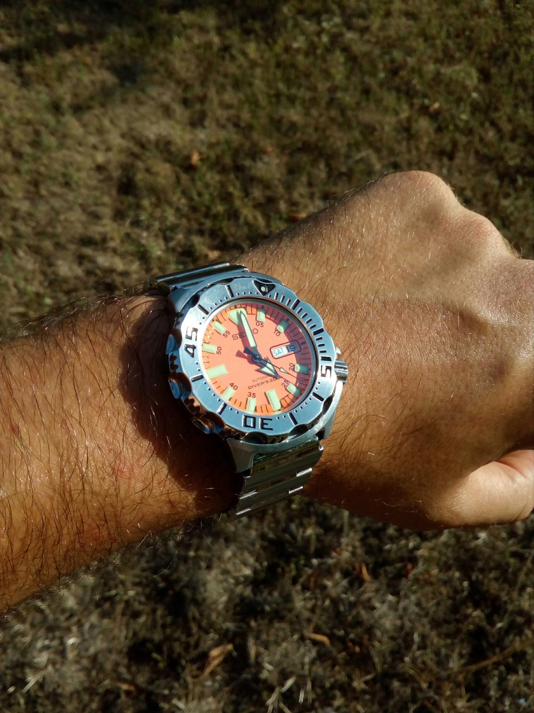 Naziv: IMG_20170819_170008.jpg, pregleda: 163, veličina: 494,6 KB