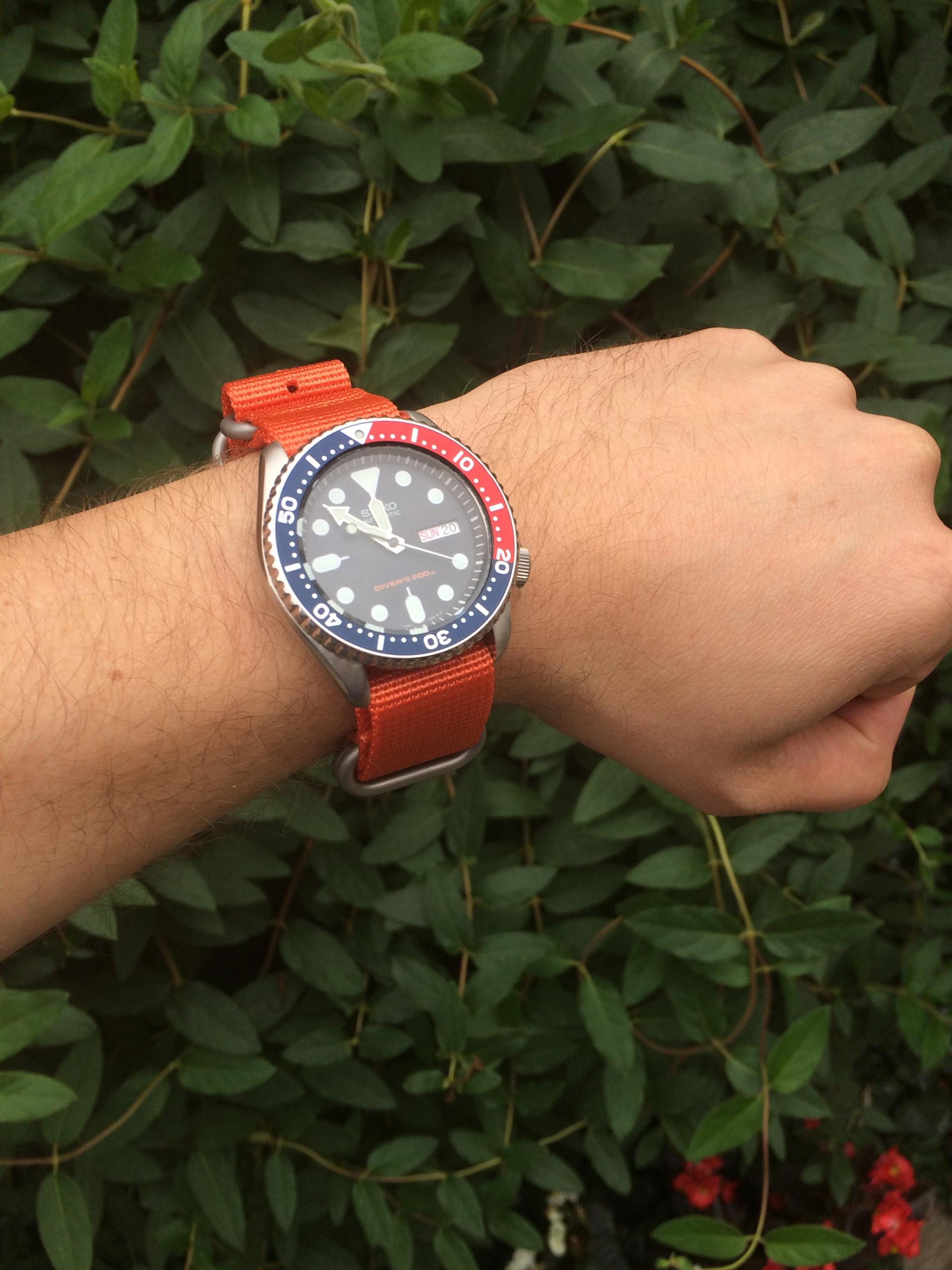 Naziv: IMG_0543.jpg, pregleda: 167, veličina: 380,1 KB