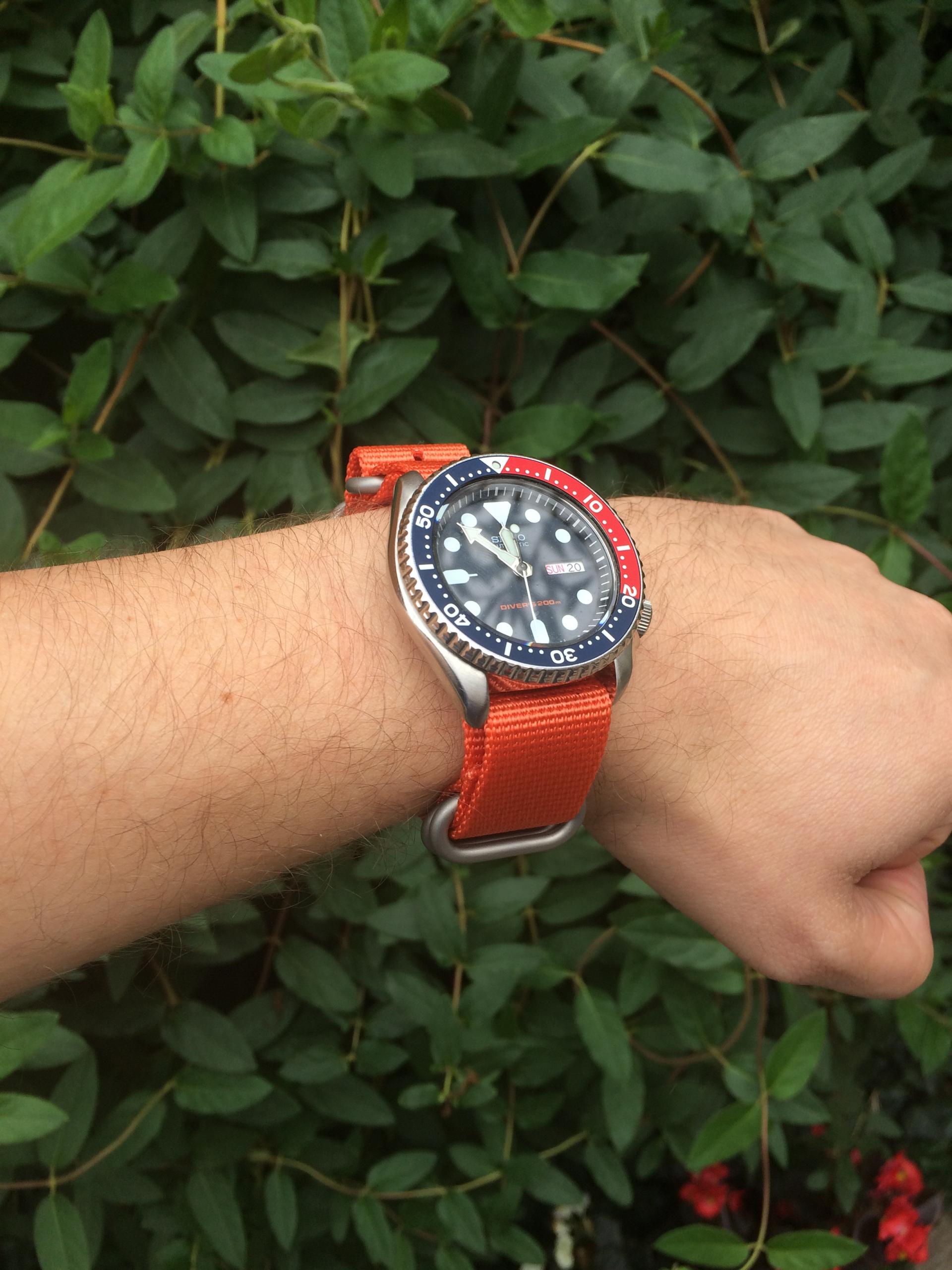 Naziv: IMG_0544.jpg, pregleda: 164, veličina: 400,0 KB