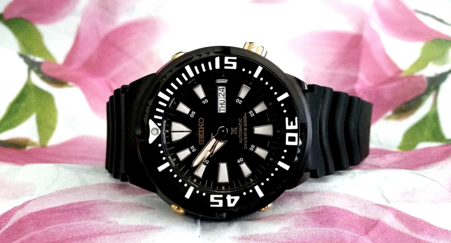 Naziv: u20170824_095128.jpg, pregleda: 170, veličina: 135,1 KB