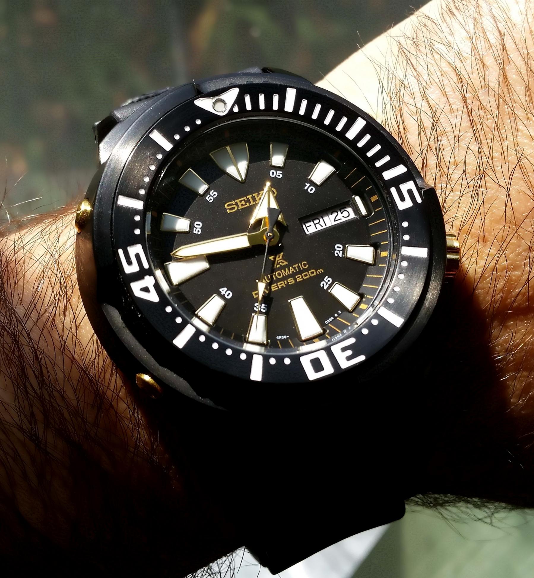 Naziv: 20170825_124623.jpg, pregleda: 187, veličina: 377,3 KB