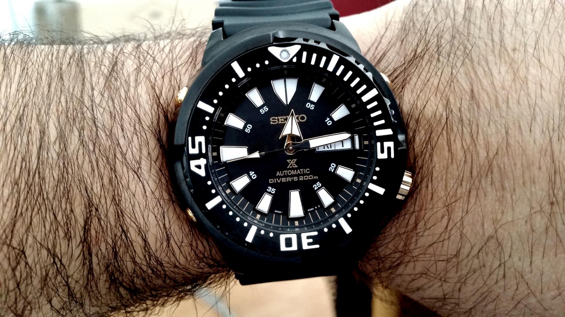 Naziv: 20170901_121345.jpg, pregleda: 164, veličina: 303,7 KB