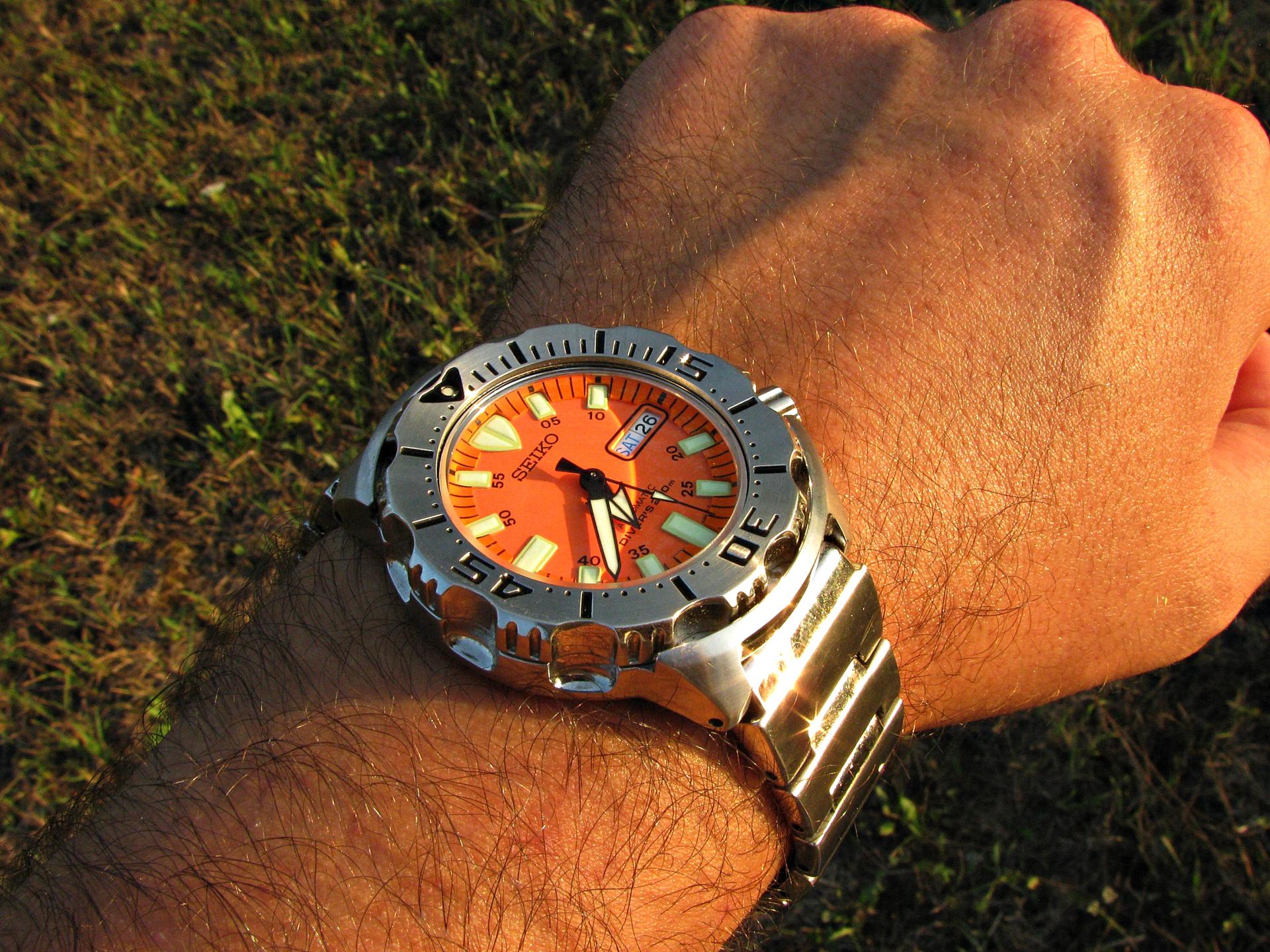 Naziv: IMG_6274 ....jpg, pregleda: 177, veličina: 484,1 KB