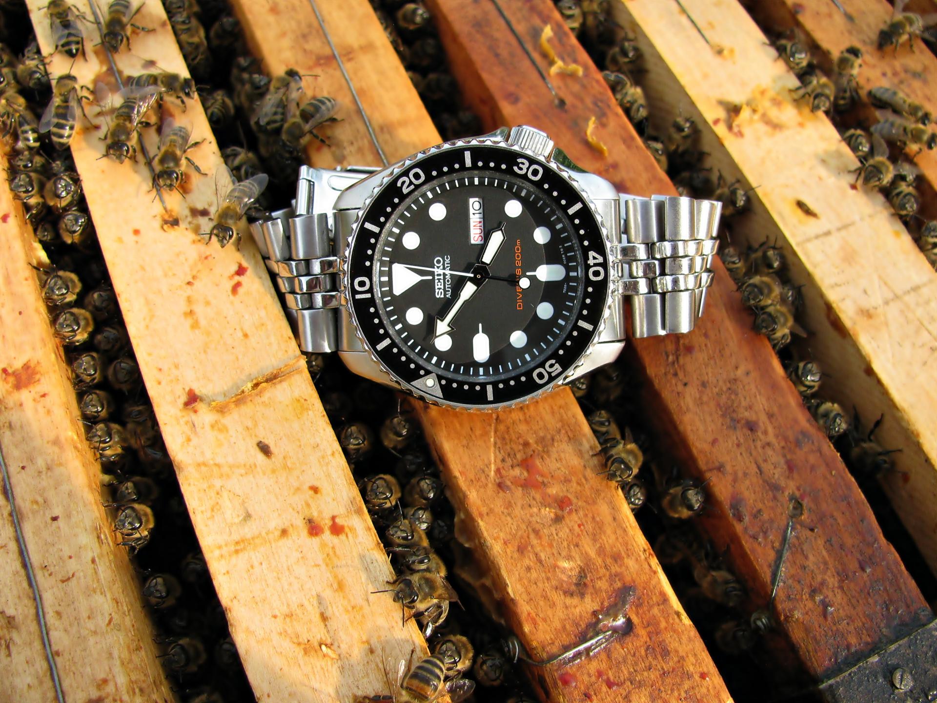 Naziv: IMG_6420....jpg, pregleda: 172, veličina: 375,0 KB