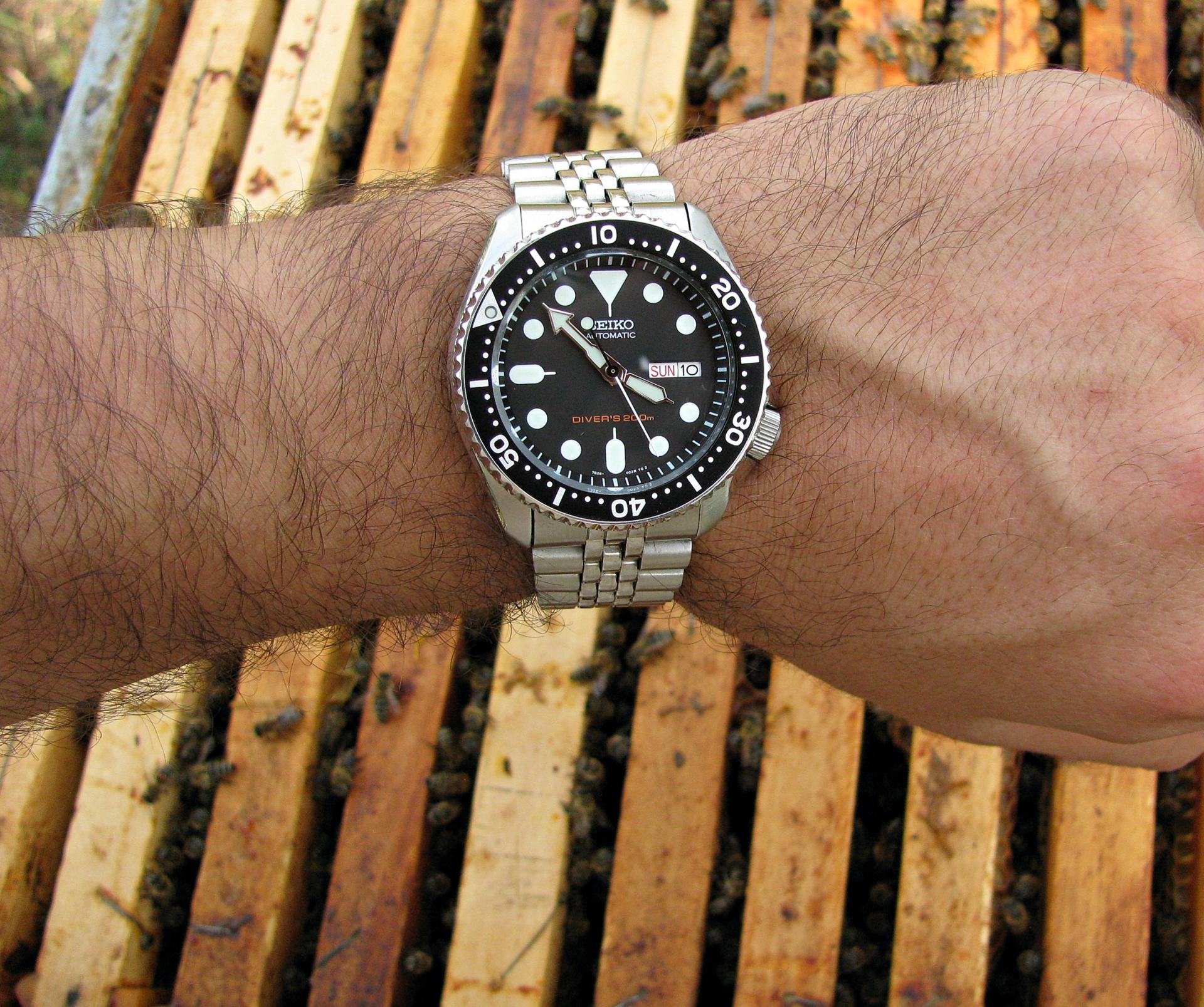 Naziv: IMG_6424 ....jpg, pregleda: 166, veličina: 462,6 KB