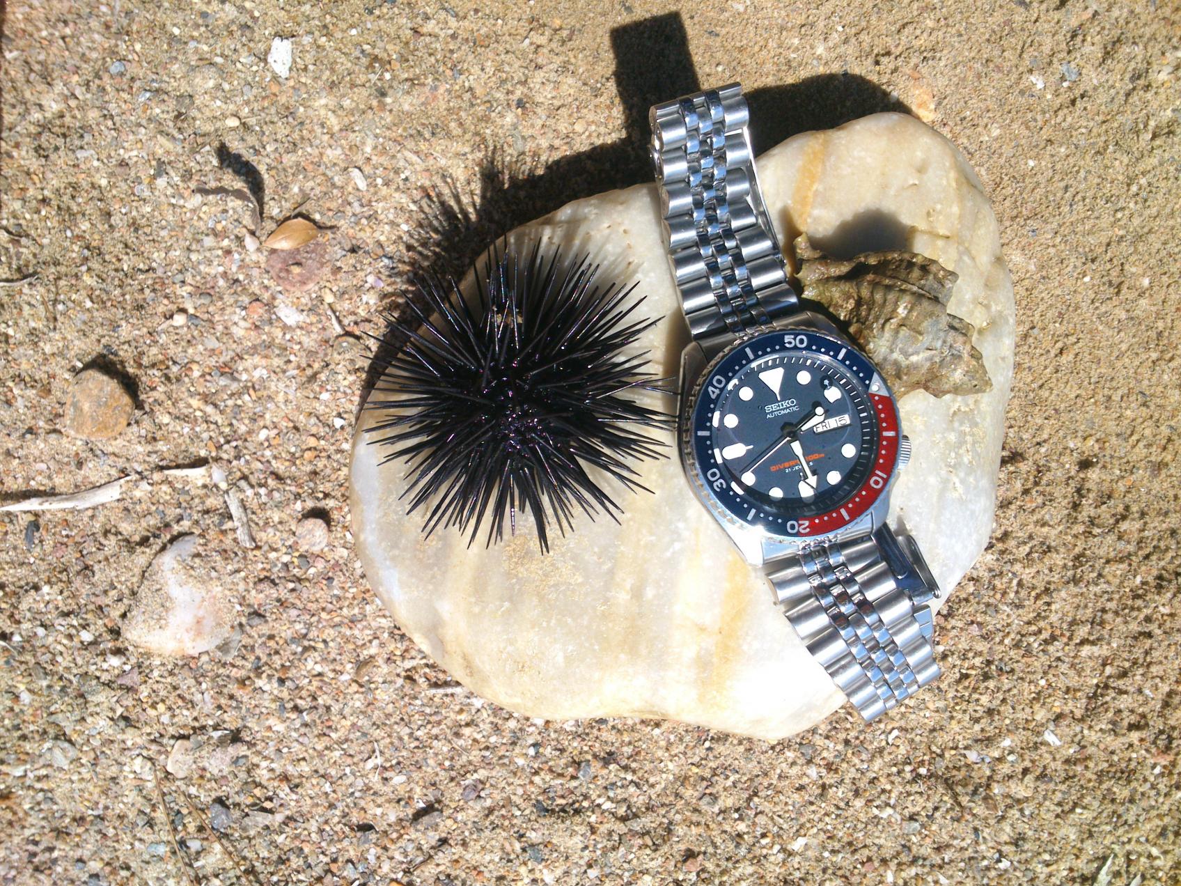 Naziv: DSC_2212.jpg, pregleda: 209, veličina: 512,4 KB