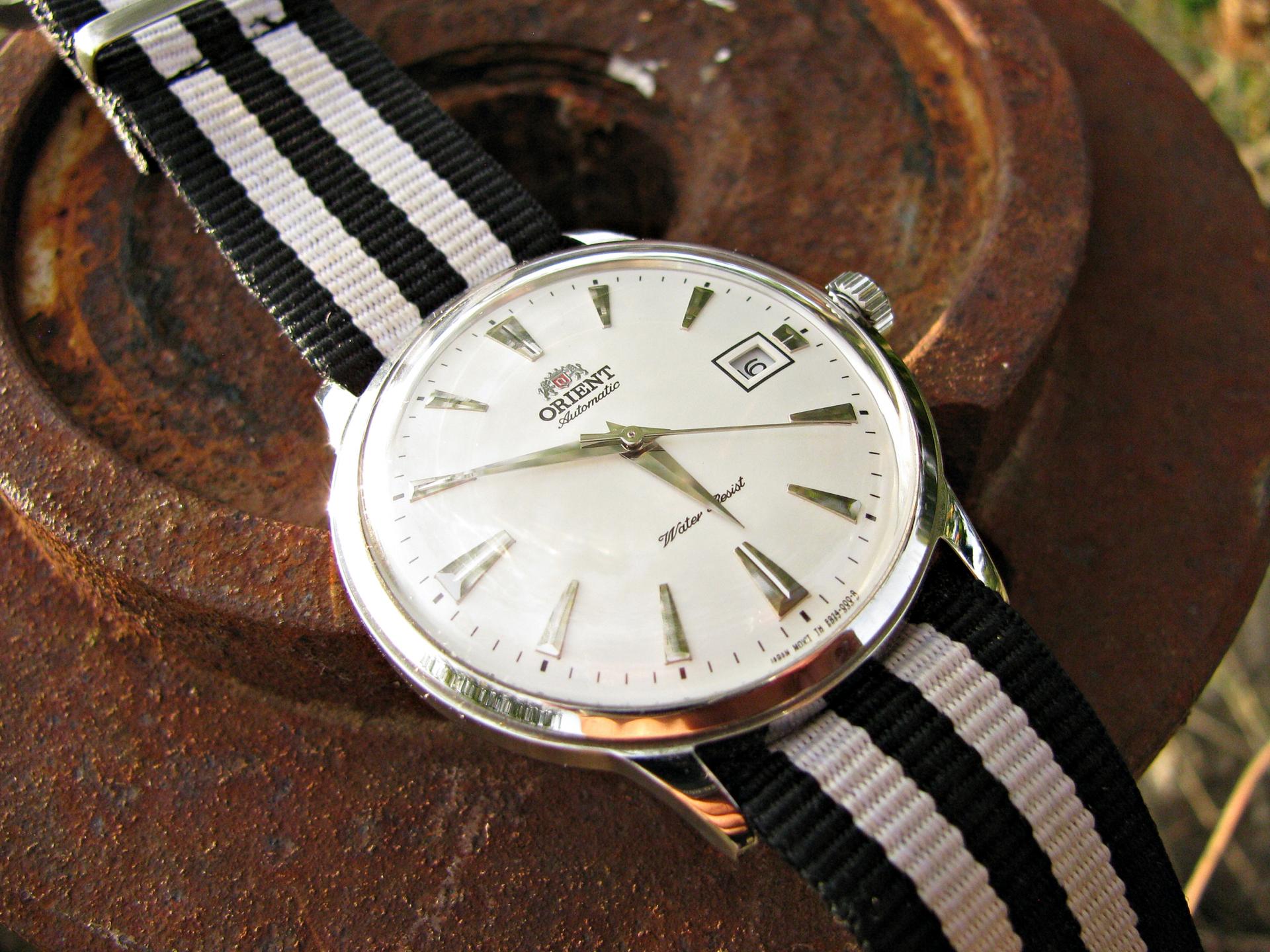 Naziv: IMG_6487 ....jpg, pregleda: 174, veličina: 351,8 KB