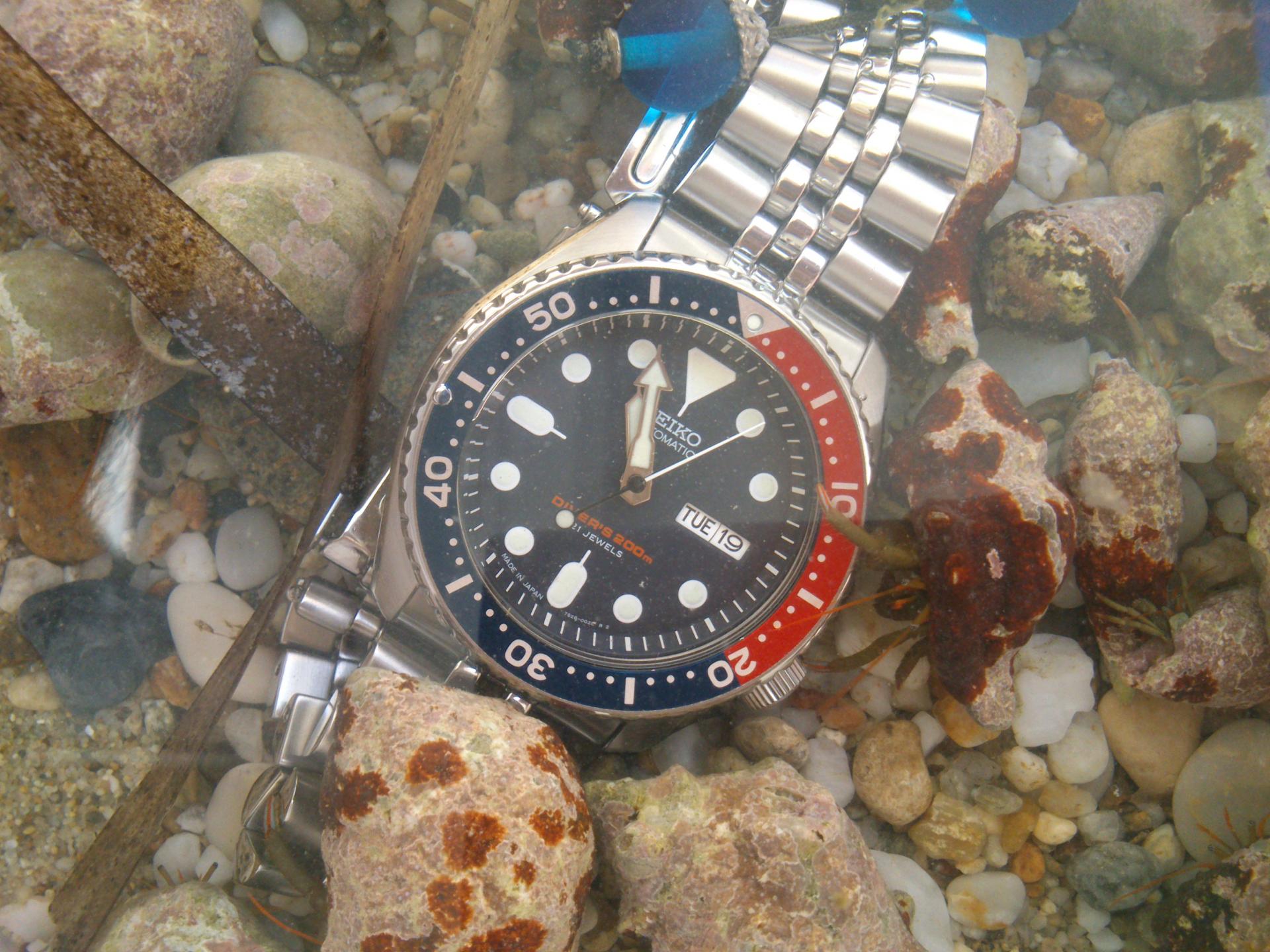 Naziv: DSC_2265.jpg, pregleda: 208, veličina: 338,8 KB