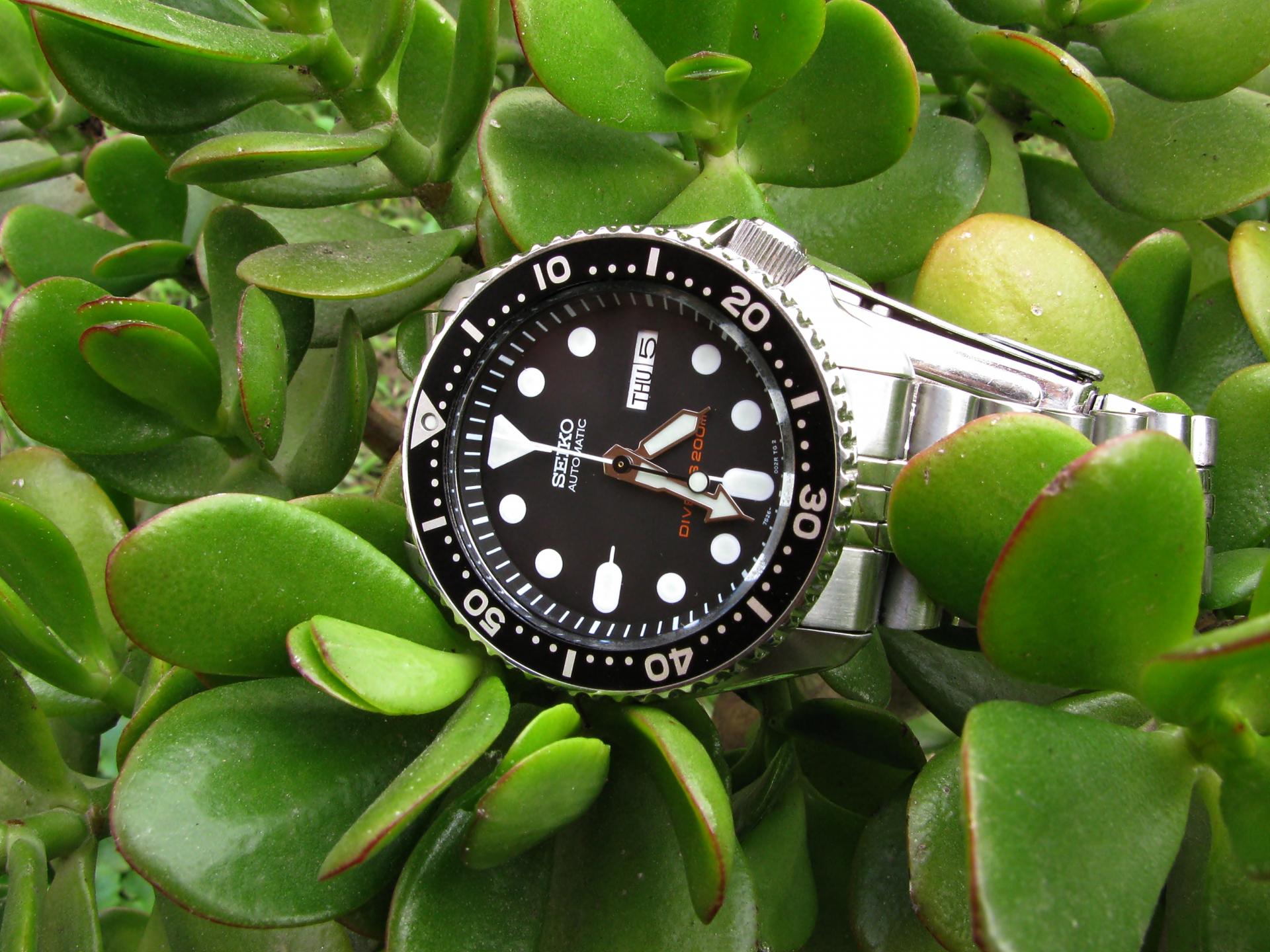 Naziv: IMG_6607 ...,.jpg, pregleda: 170, veličina: 315,4 KB