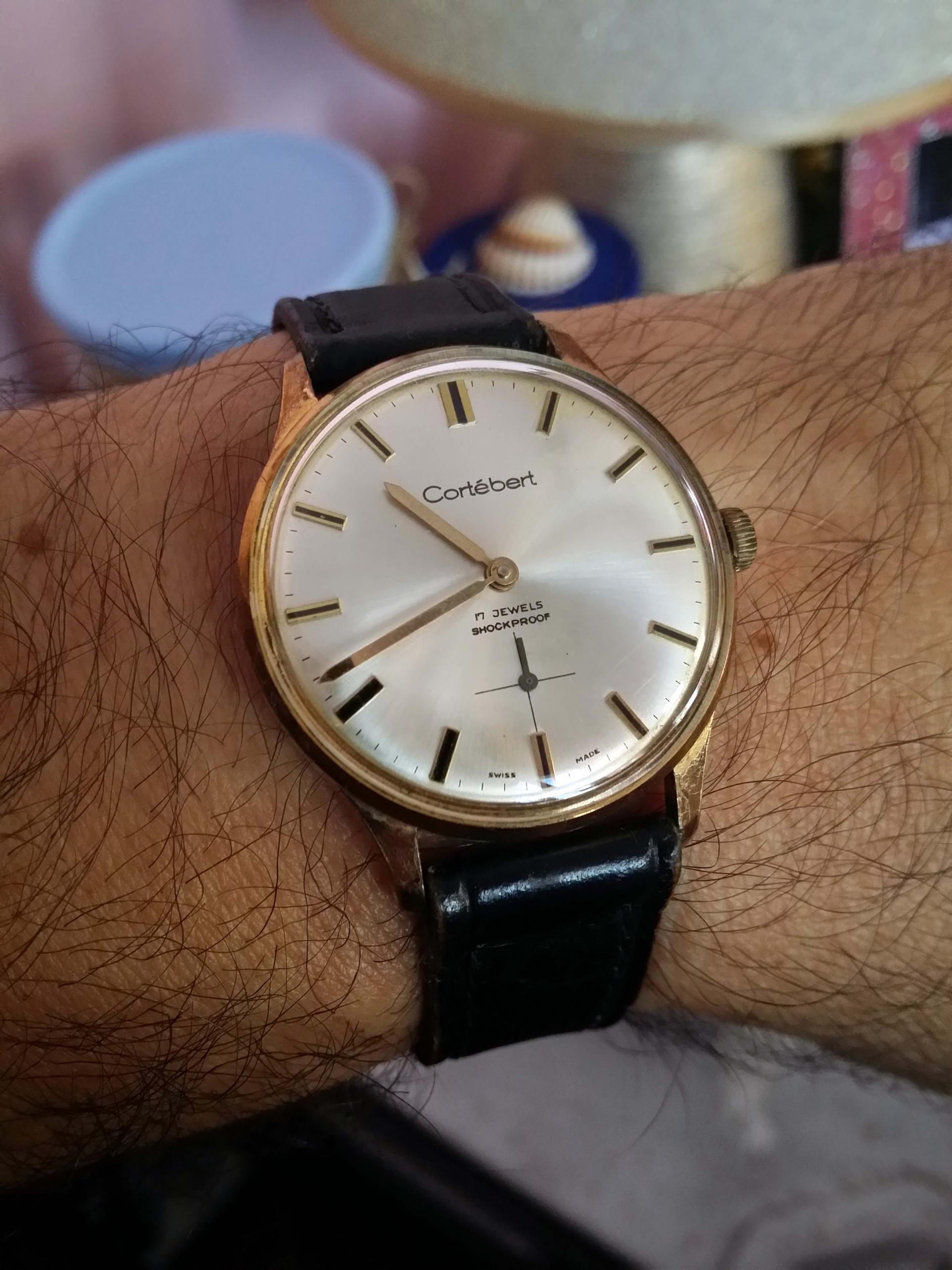 Naziv: 20171008_105346.jpg, pregleda: 185, veličina: 393,3 KB