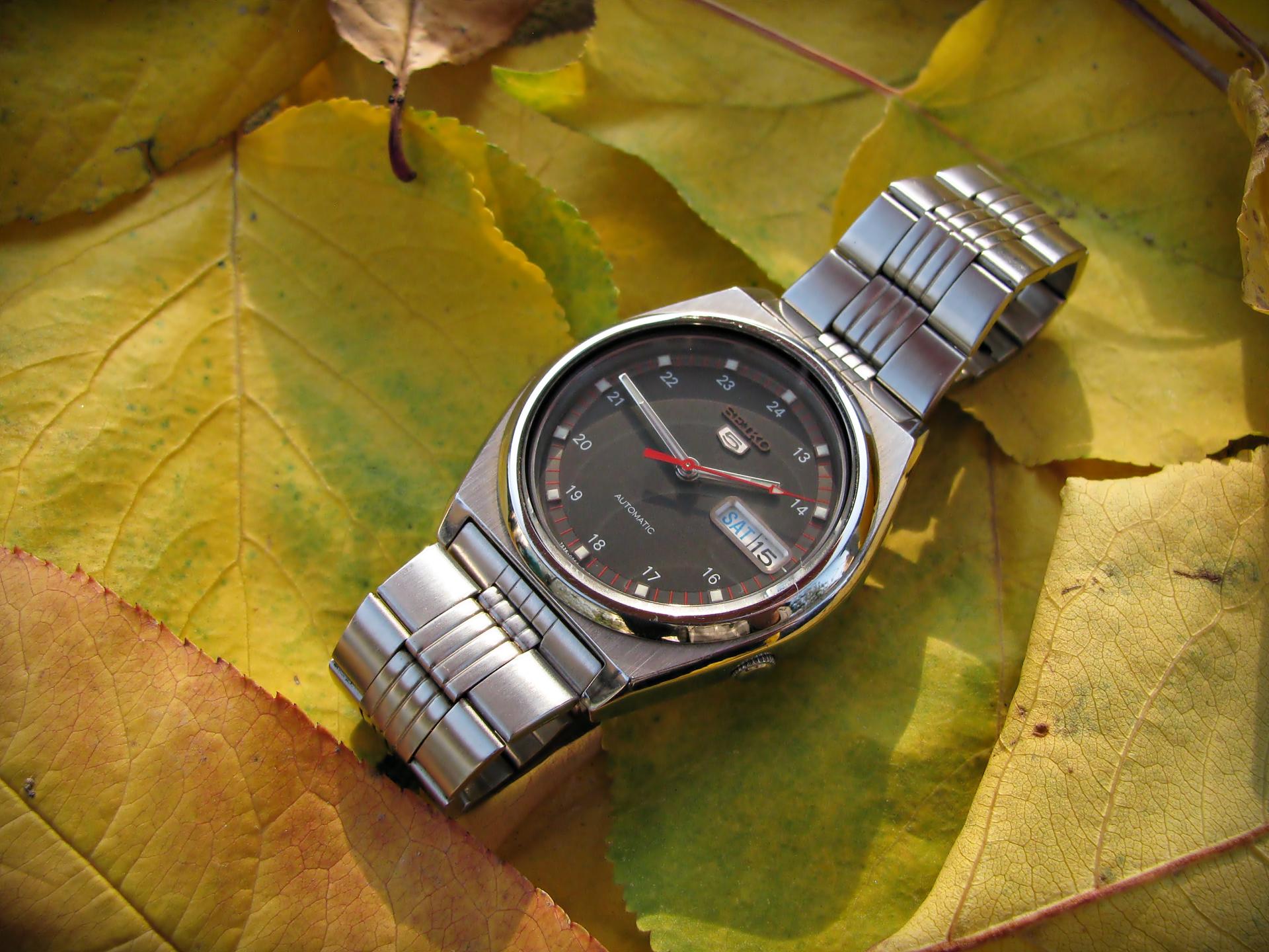 Naziv: IMG_6797 ....jpg, pregleda: 191, veličina: 298,3 KB