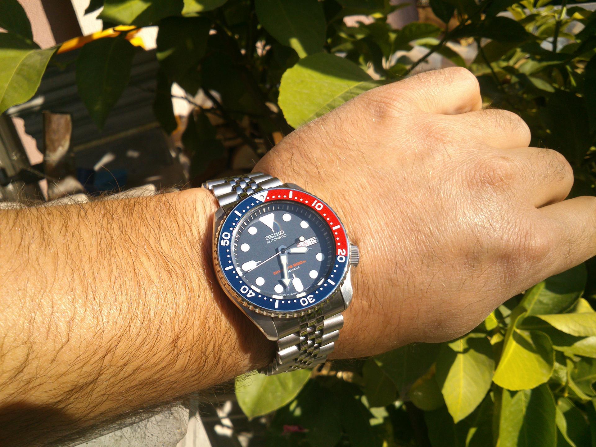 Naziv: DSC_2362.jpg, pregleda: 159, veličina: 357,9 KB