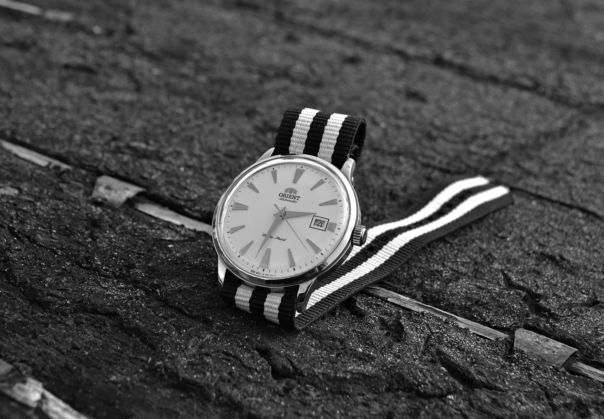 Naziv: DSC_0518 ...,.jpg, pregleda: 215, veličina: 331,9 KB