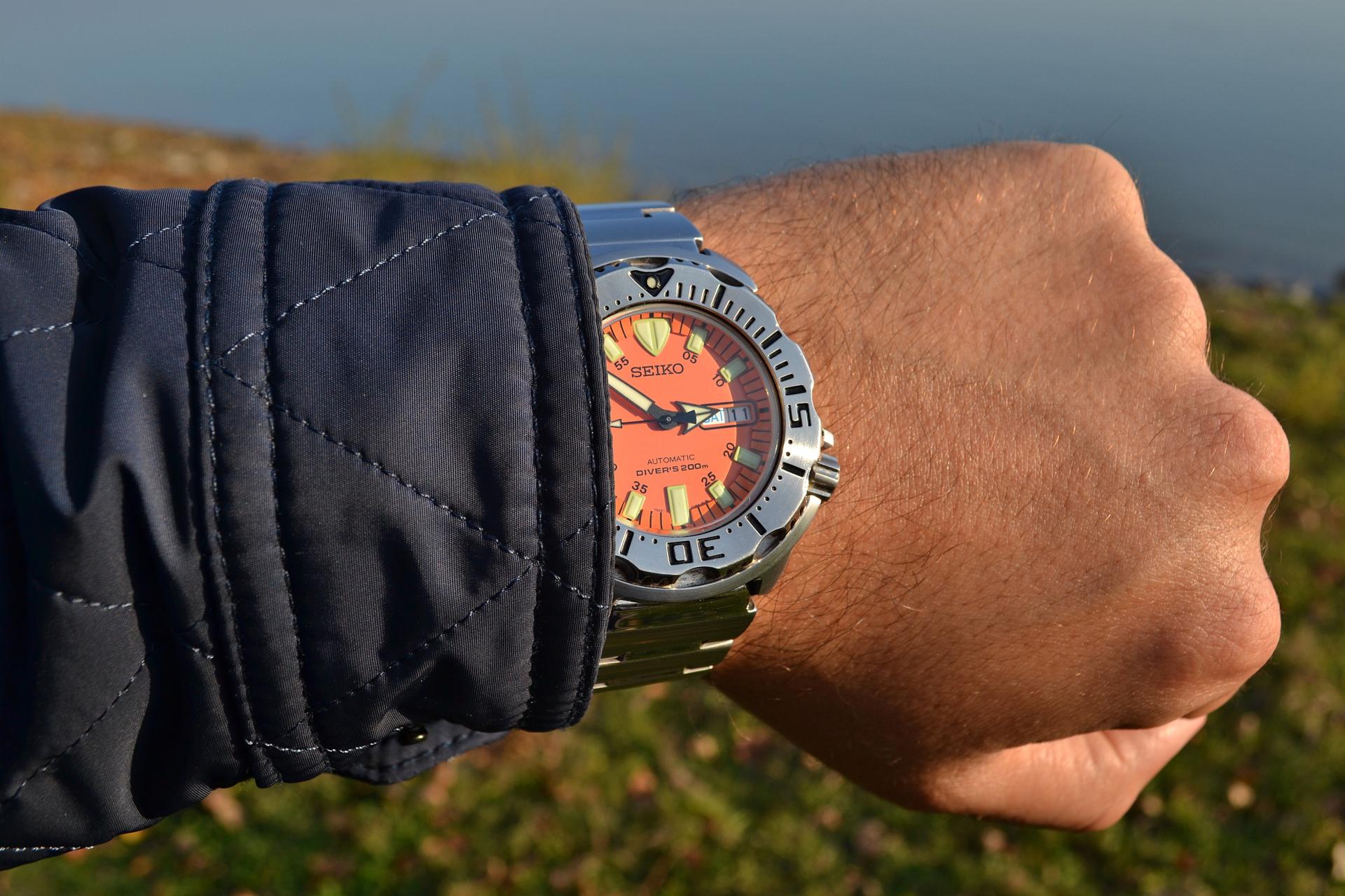 Naziv: DSC_0466 ....jpg, pregleda: 215, veličina: 281,0 KB