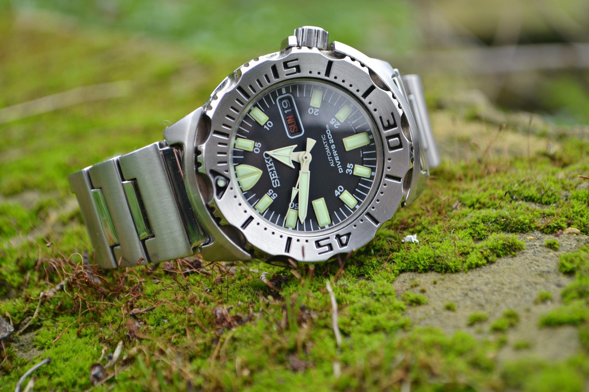 Naziv: DSC_0432 ....jpg, pregleda: 183, veličina: 269,3 KB