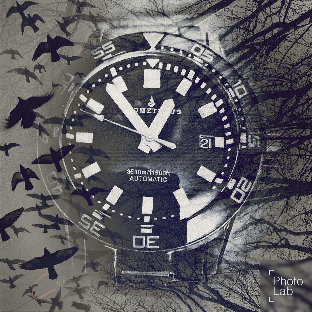 Naziv: 6519db3d-8dbd-434c-821b-4ac907de7c0f.jpg, pregleda: 218, veličina: 367,9 KB