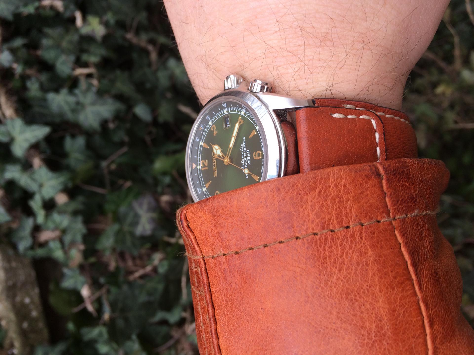 Naziv: IMG_1038.jpg, pregleda: 158, veličina: 276,0 KB