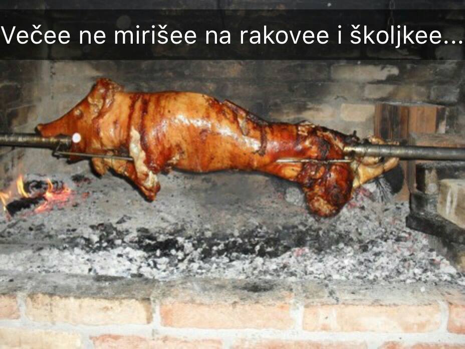 Naziv: prase.jpg, pregleda: 1100, veličina: 86,6 KB