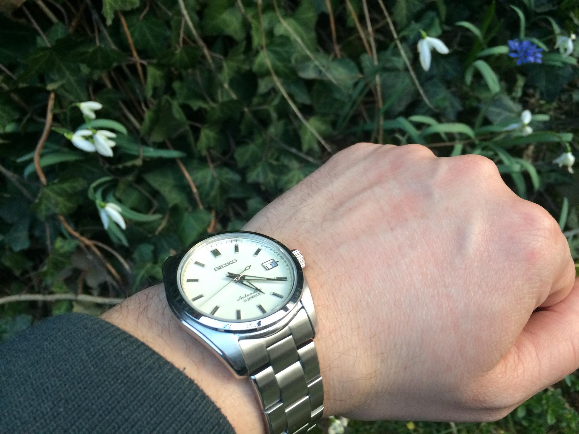 Naziv: IMG_1119.jpg, pregleda: 174, veličina: 247,4 KB