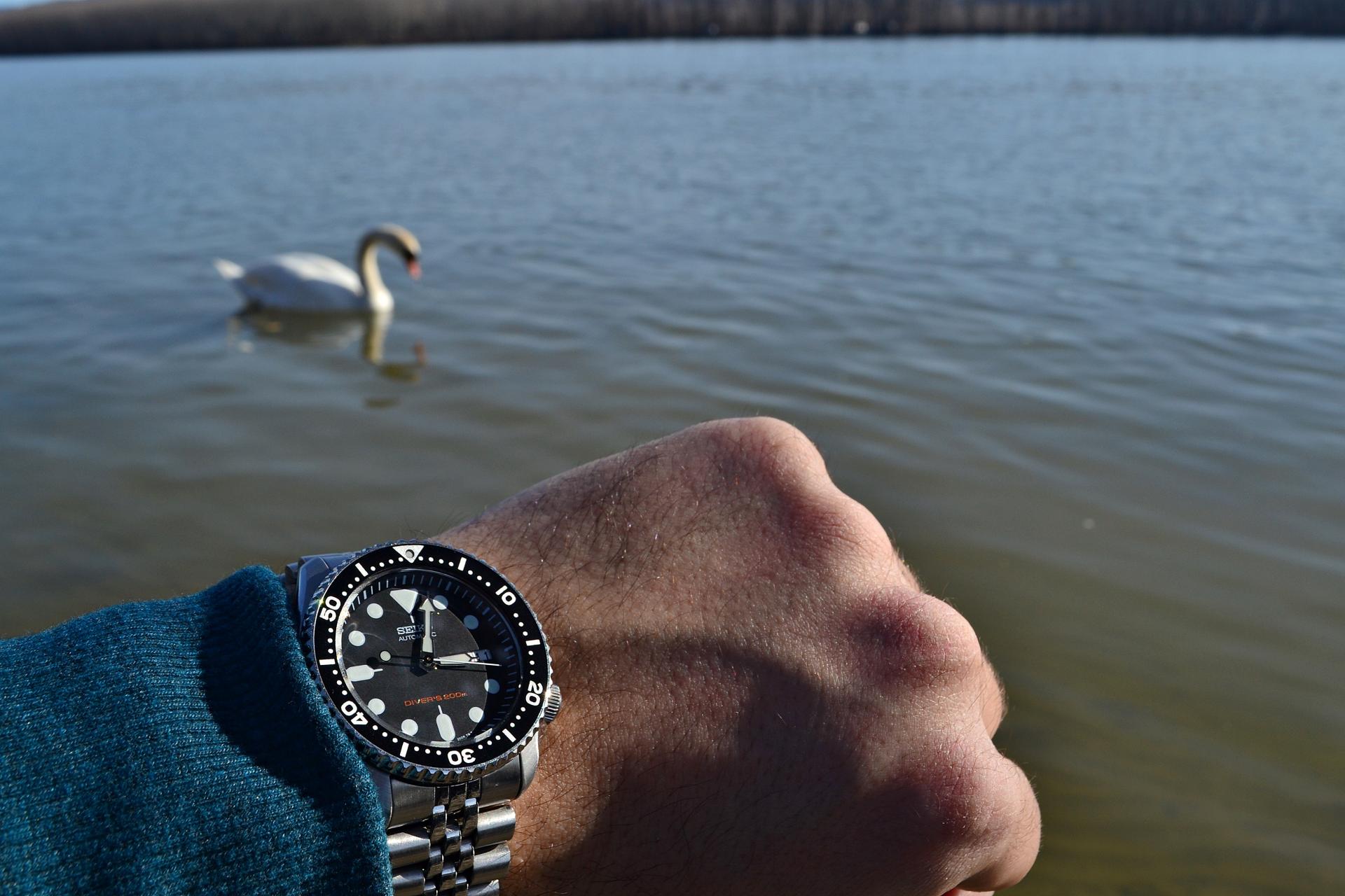 Naziv: DSC_0478 ....jpg, pregleda: 180, veličina: 211,2 KB