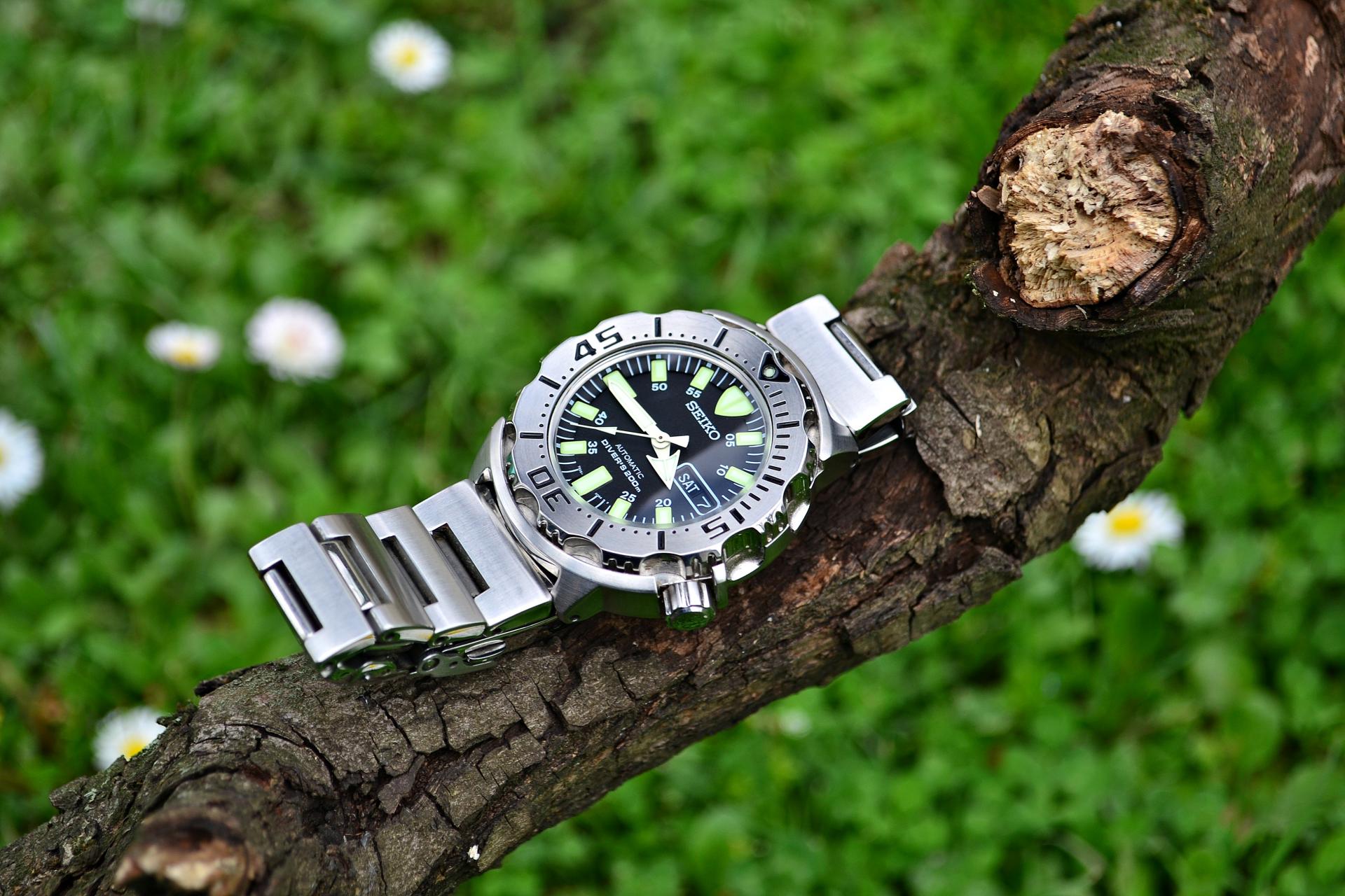 Naziv: DSC_0470 ....jpg, pregleda: 195, veličina: 295,9 KB