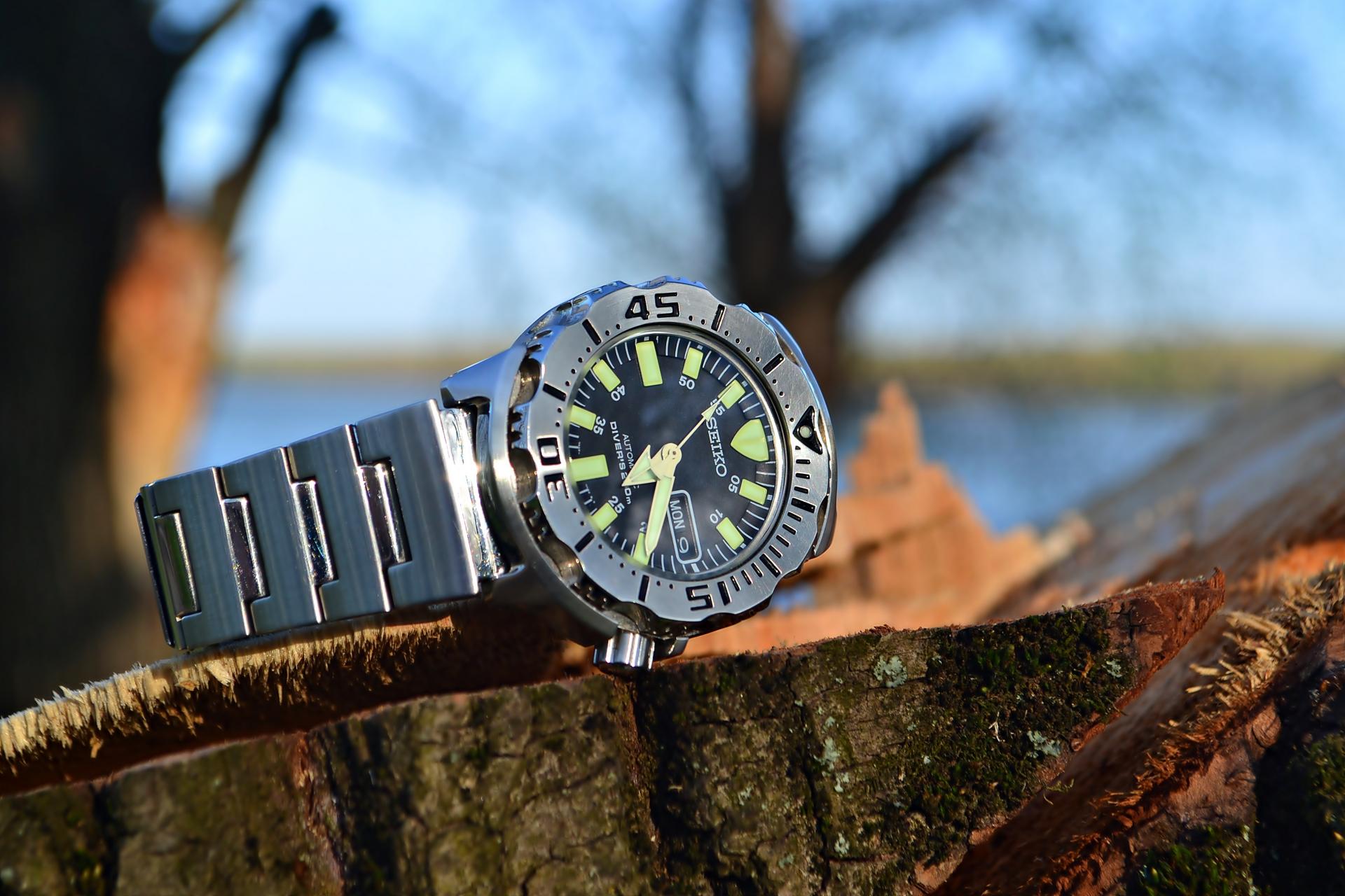 Naziv: DSC_0514 ....jpg, pregleda: 152, veličina: 235,9 KB