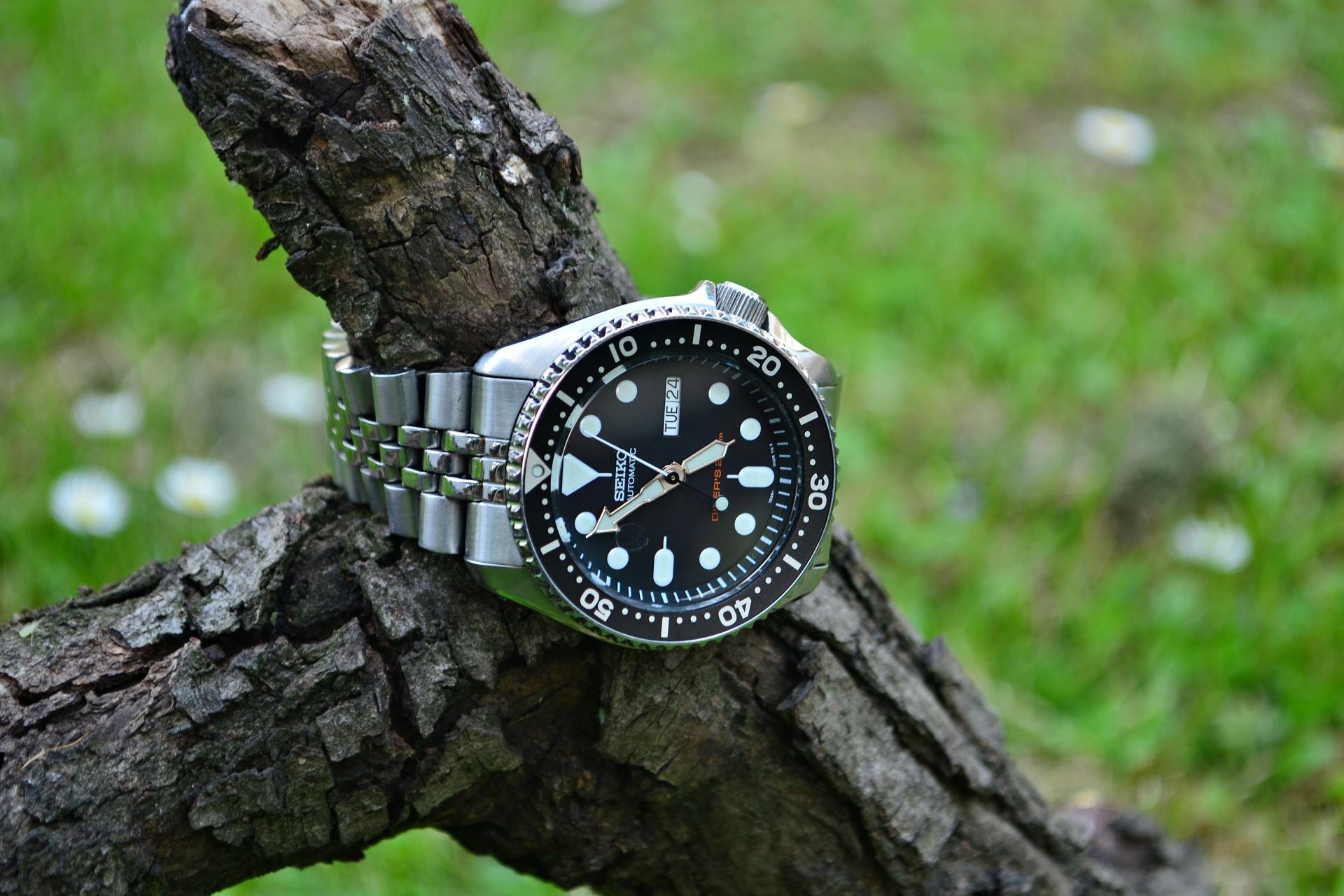 Naziv: DSC_0428 ....jpg, pregleda: 197, veličina: 252,6 KB