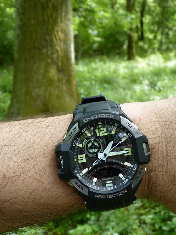 Naziv: P1290498.JPG, pregleda: 157, veličina: 172,9 KB